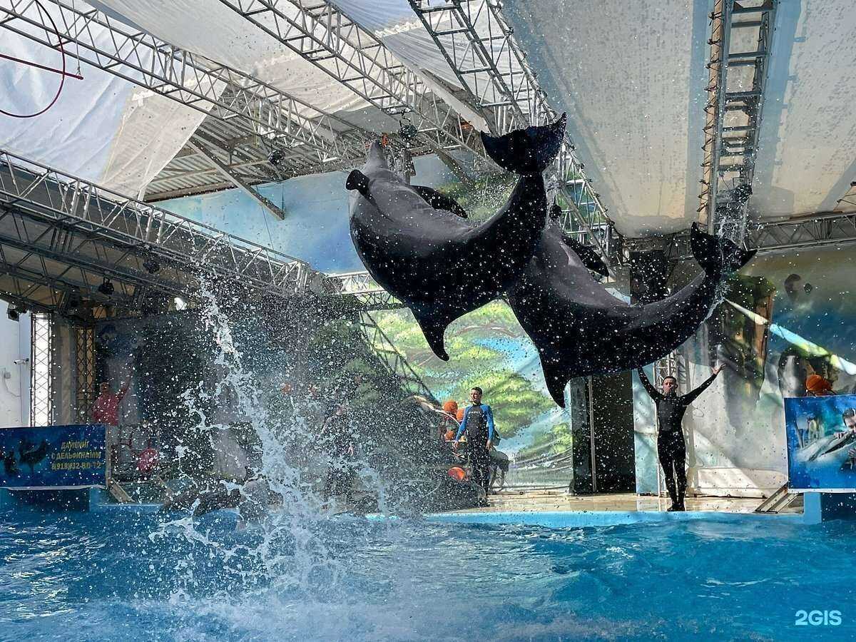 Отзывы на компанию Солнечный берег в Анапе c фото