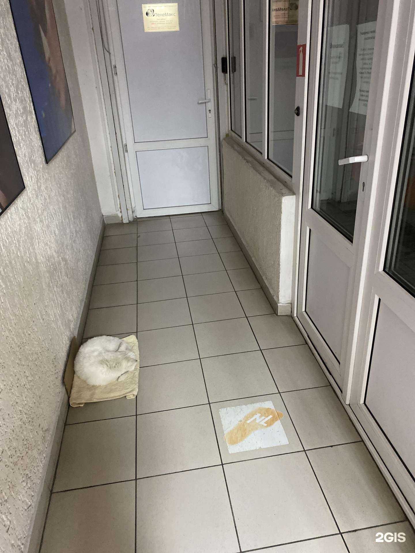 Отзывы на компанию Nl international в Новороссийске c фото