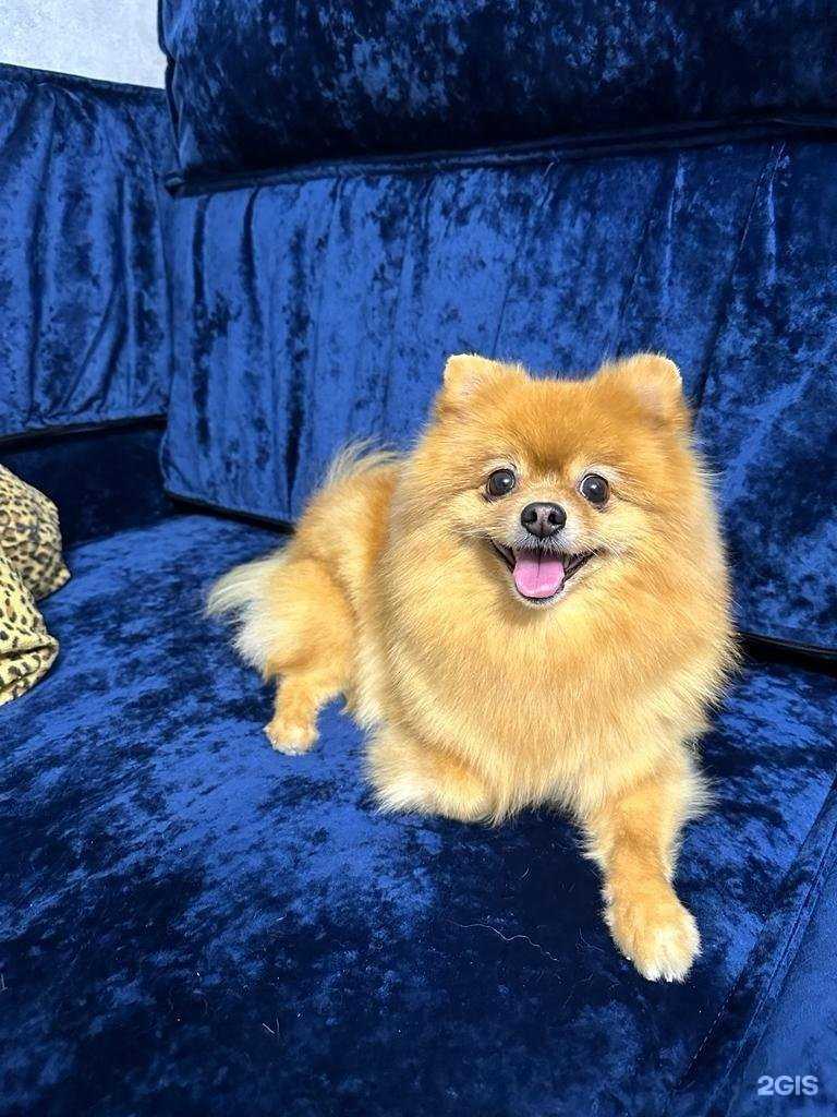 Отзывы на компанию Милорд в Красноярске c фото