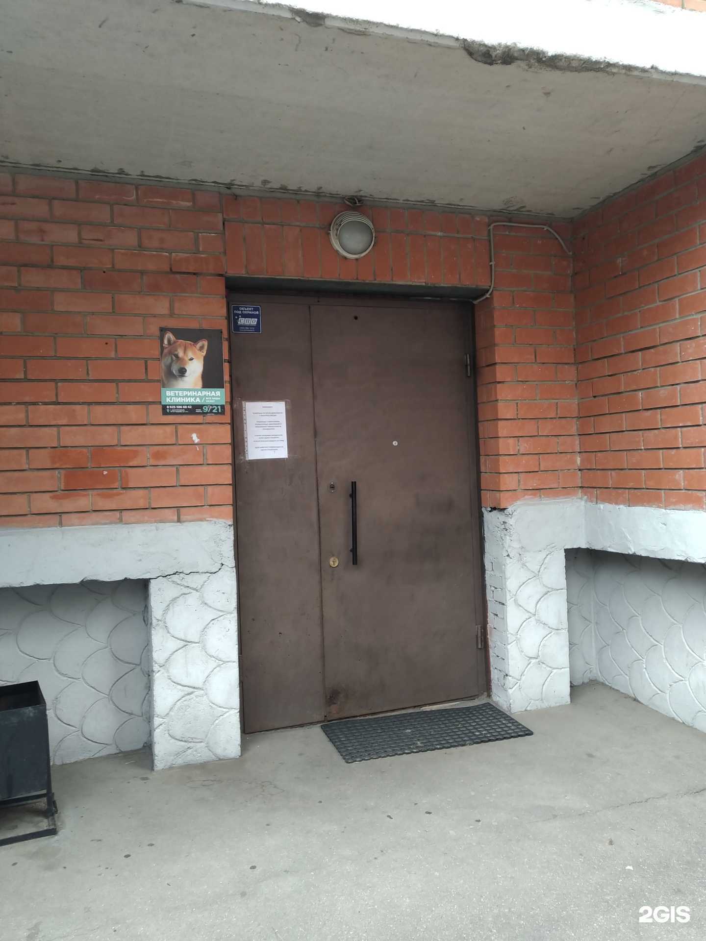 Отзывы на компанию Грумер рядом в г. Долгопрудный c фото