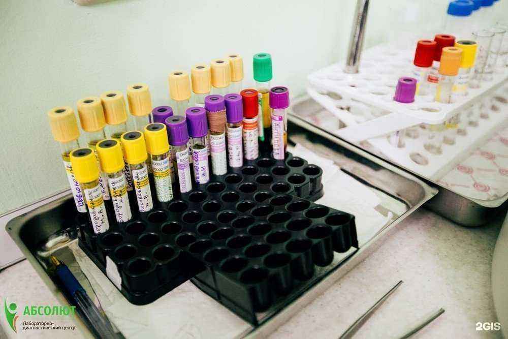 Отзывы на компанию Абсолют в г. Хабаровск c фото