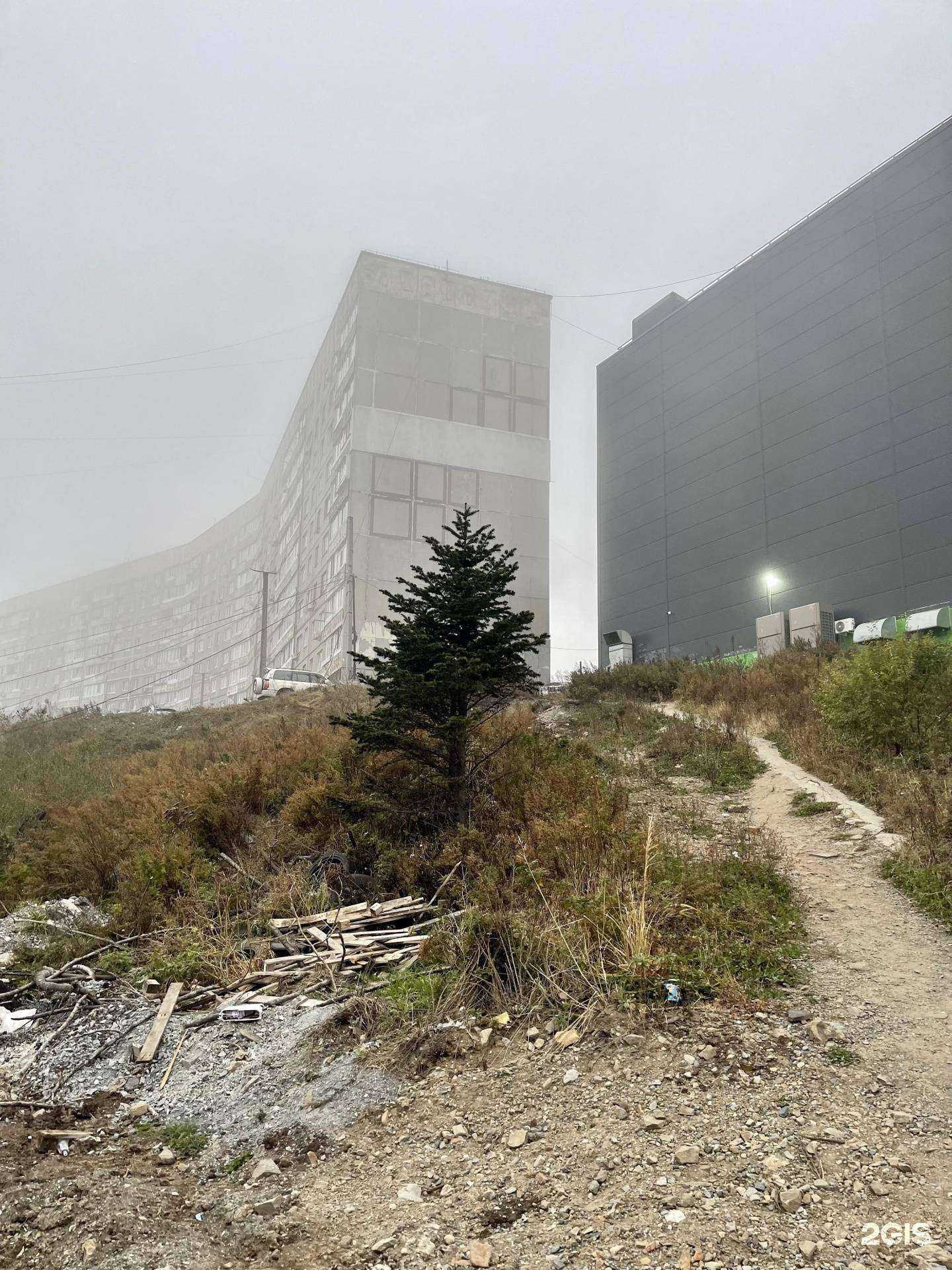 Отзывы на компанию Адонис в Владивостоке c фото - фотография 2 из 2