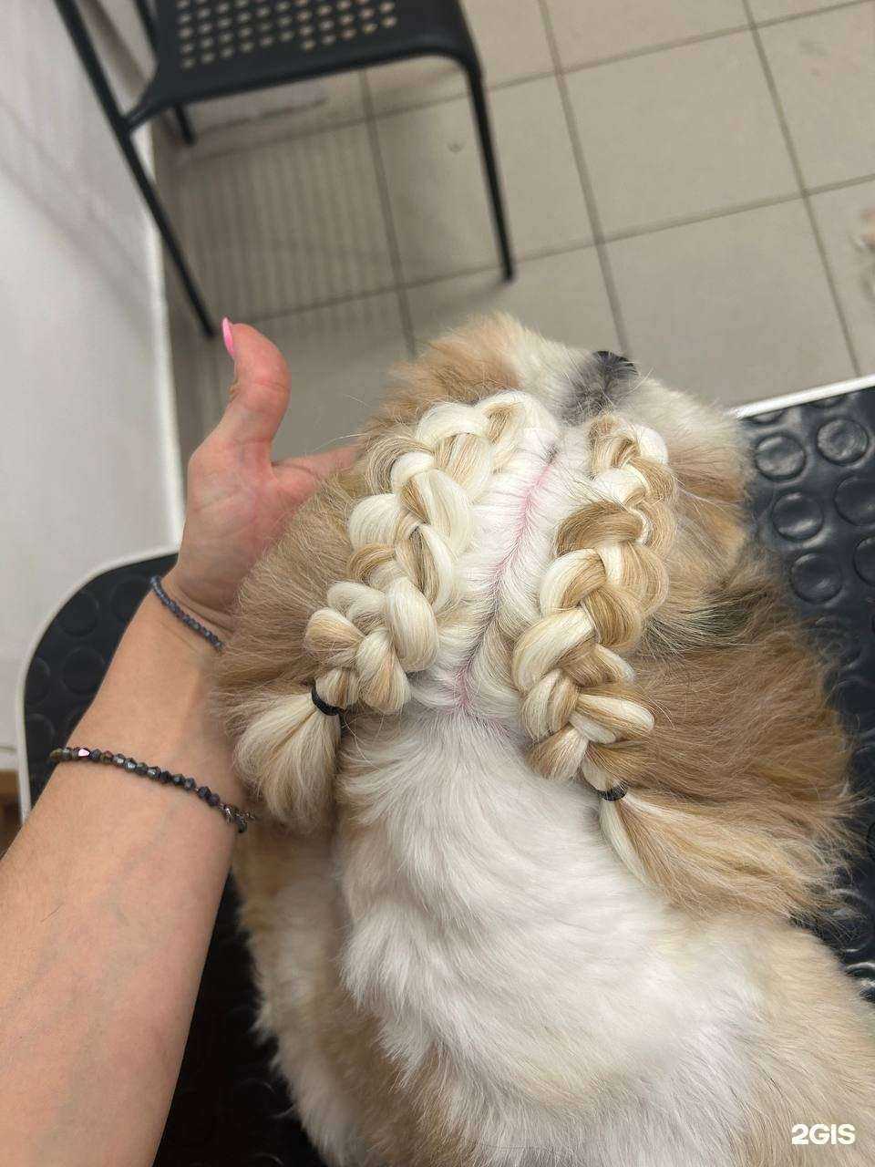 Отзывы на компанию ZooDiscount в г. Магнитогорск c фото