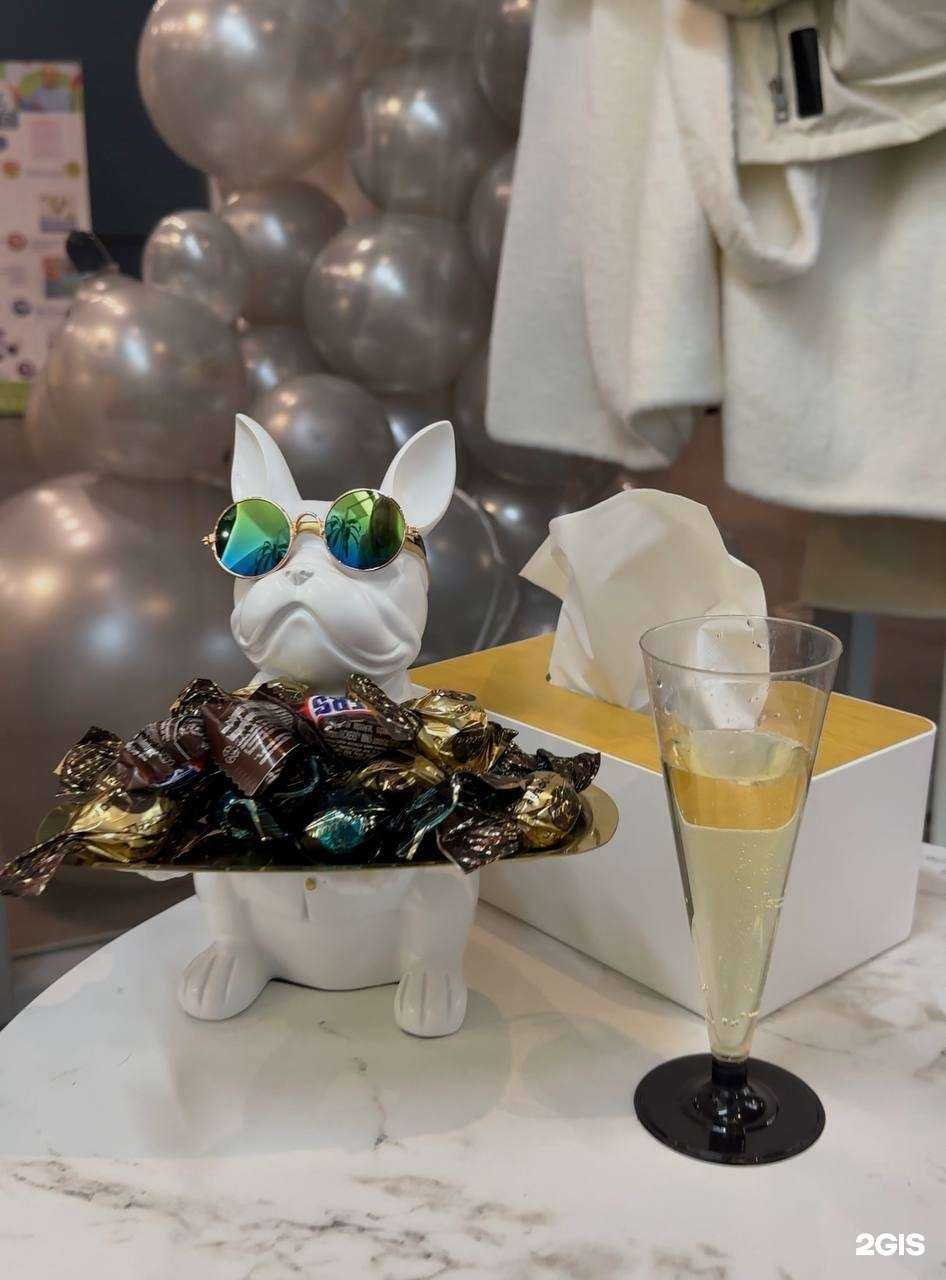 Отзывы на компанию Teddy Groom в г. Красногорск c фото