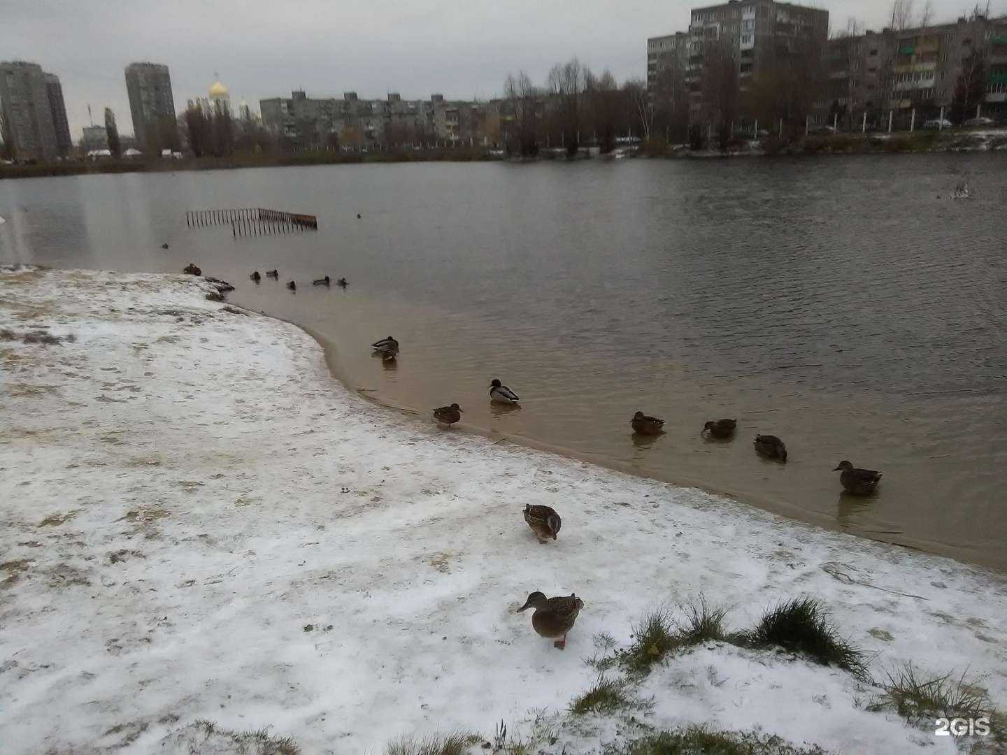 Отзывы на компанию Северная Звезда в Нижнем Новгороде c фото