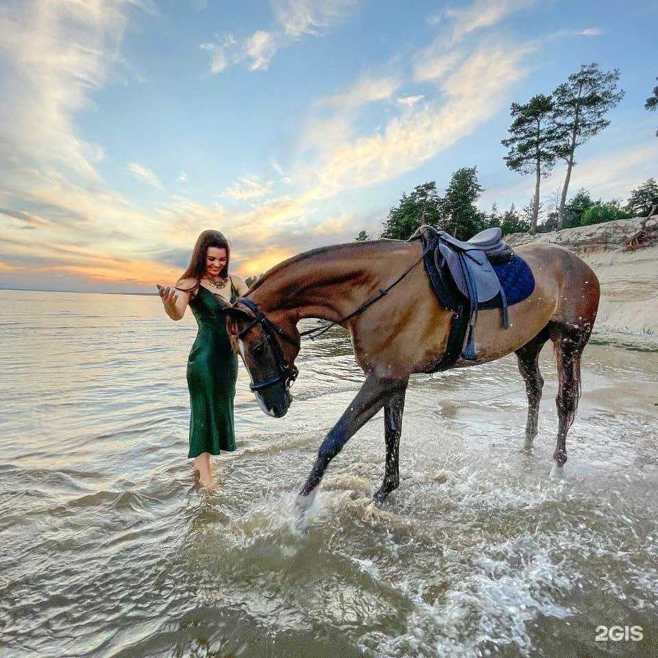 Отзывы на компанию Конный манеж Санатория Чувашия в Чебоксарах c фото