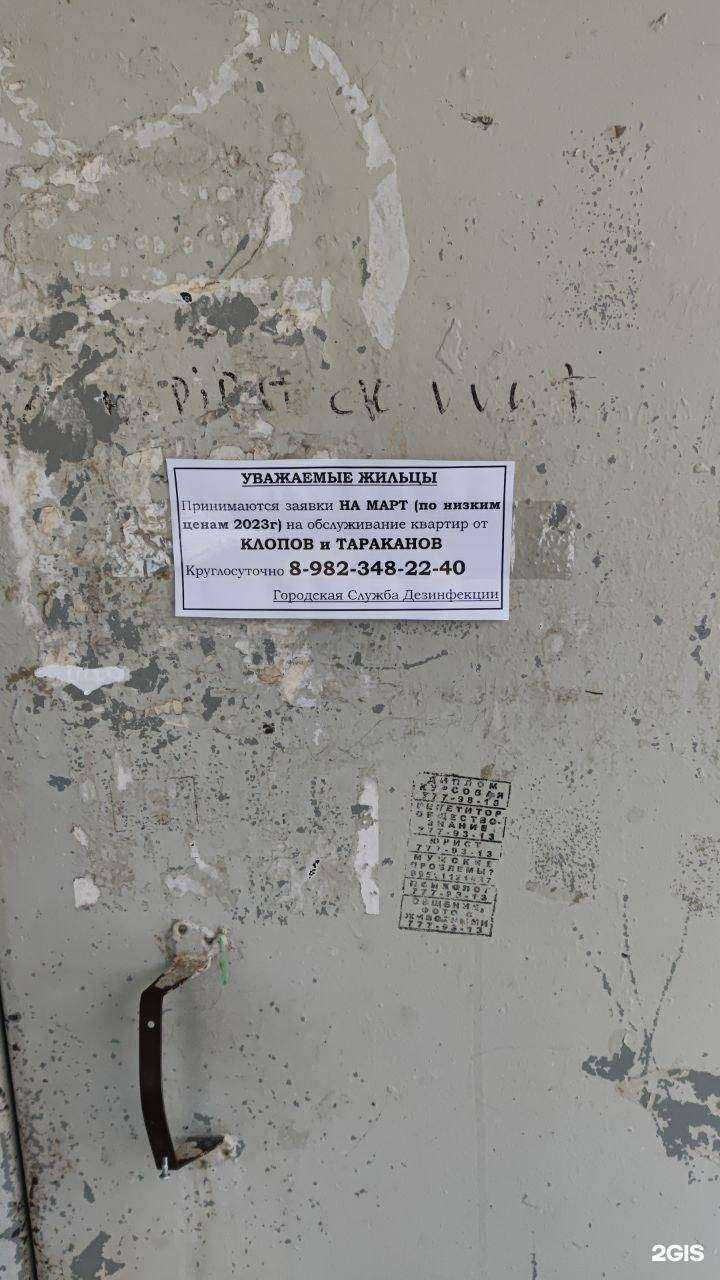 Отзывы на компанию Клевер в Челябинске c фото