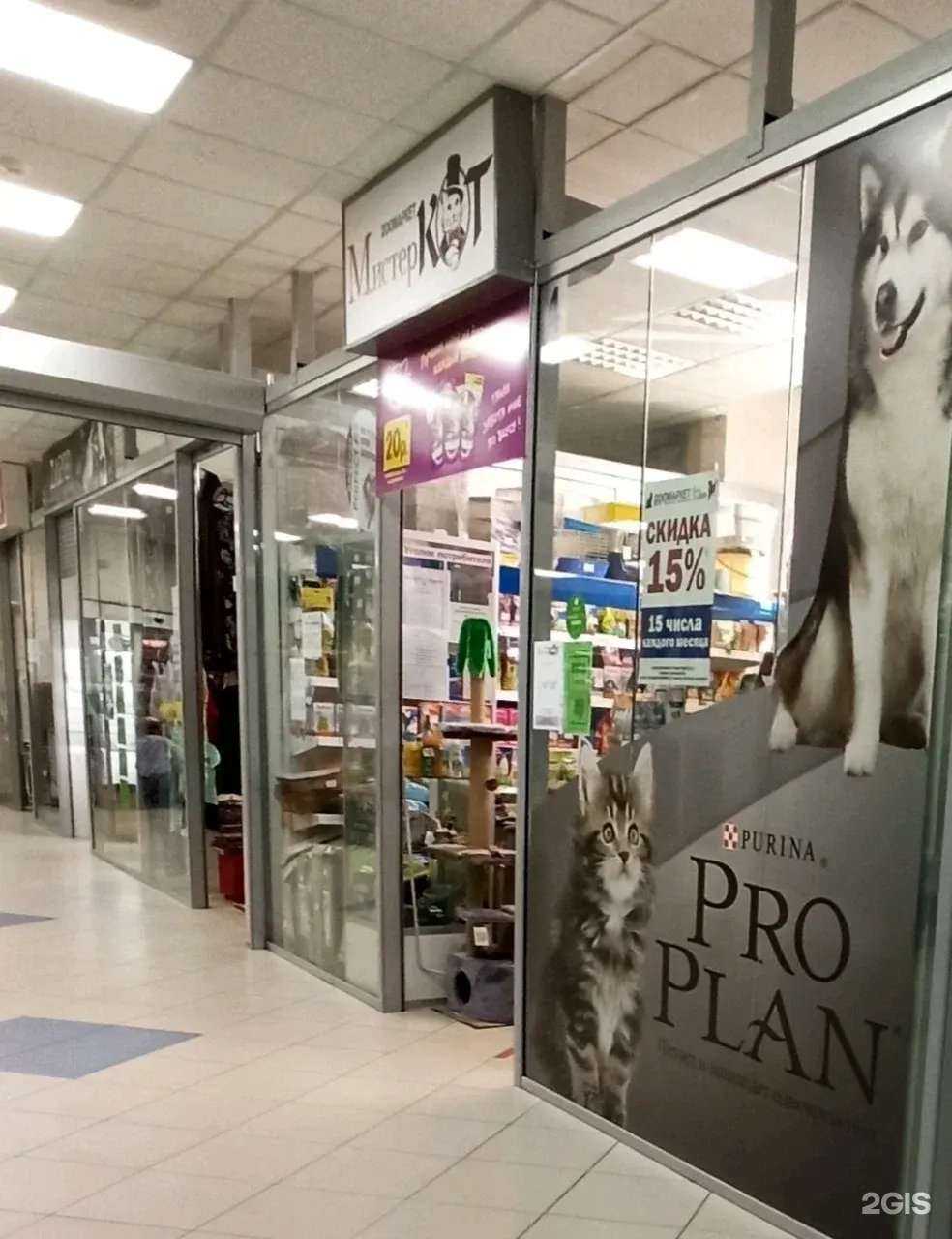 Отзывы на компанию Мистер Кот в г. Воронеж c фото