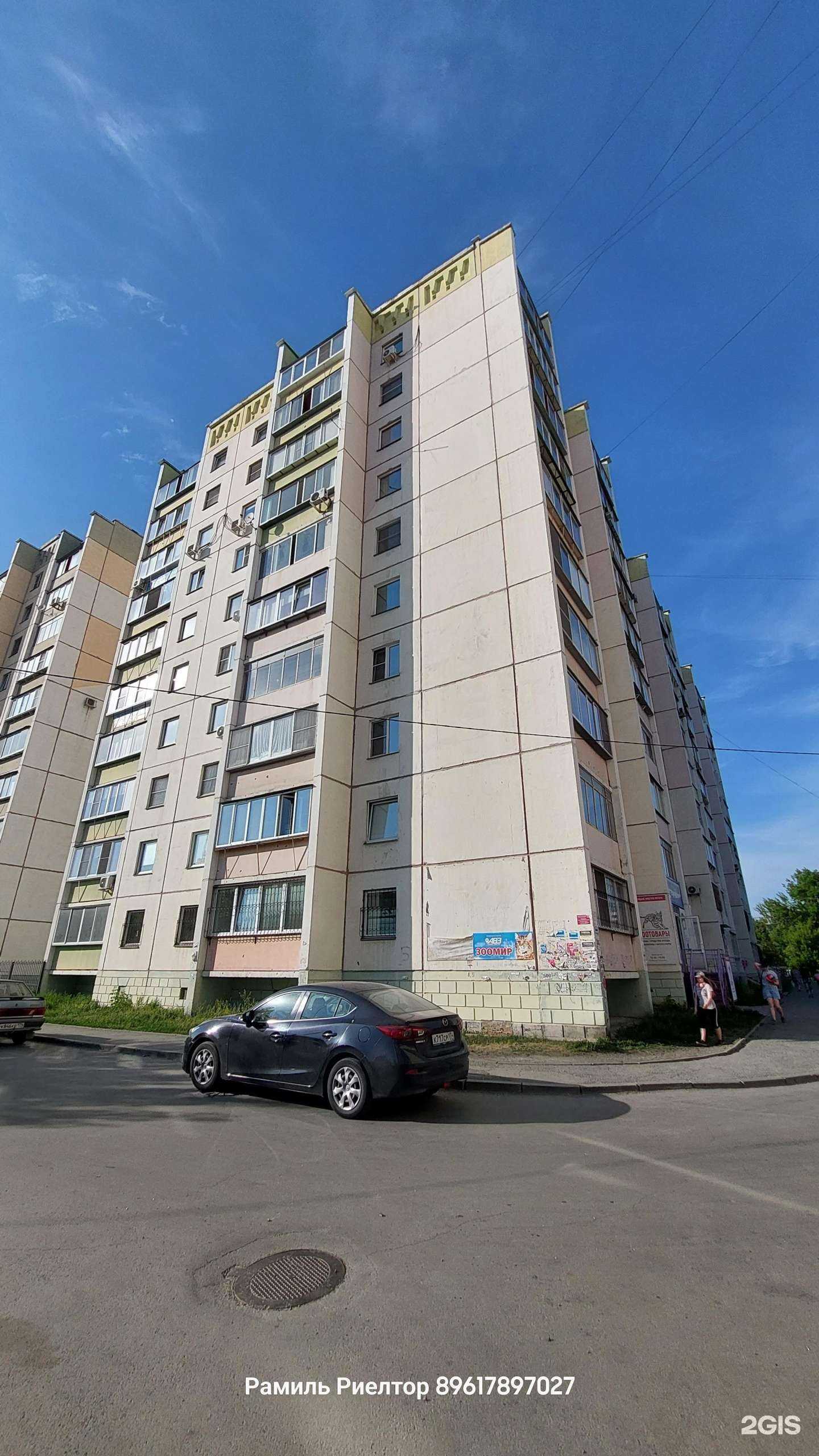 Отзывы на компанию Зоомагазин в Челябинске c фото - фотография 2 из 2