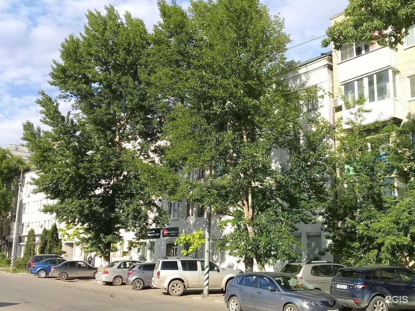 Отзывы на компанию Вижу в Саратове c фото - фотография 2 из 2