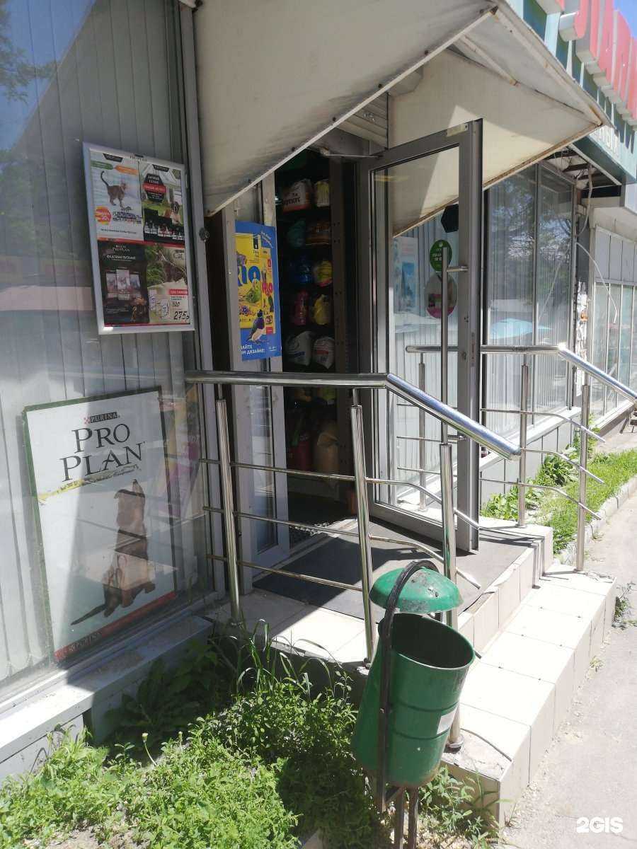 Отзывы на компанию Четыре лапки в г. Волгоград c фото