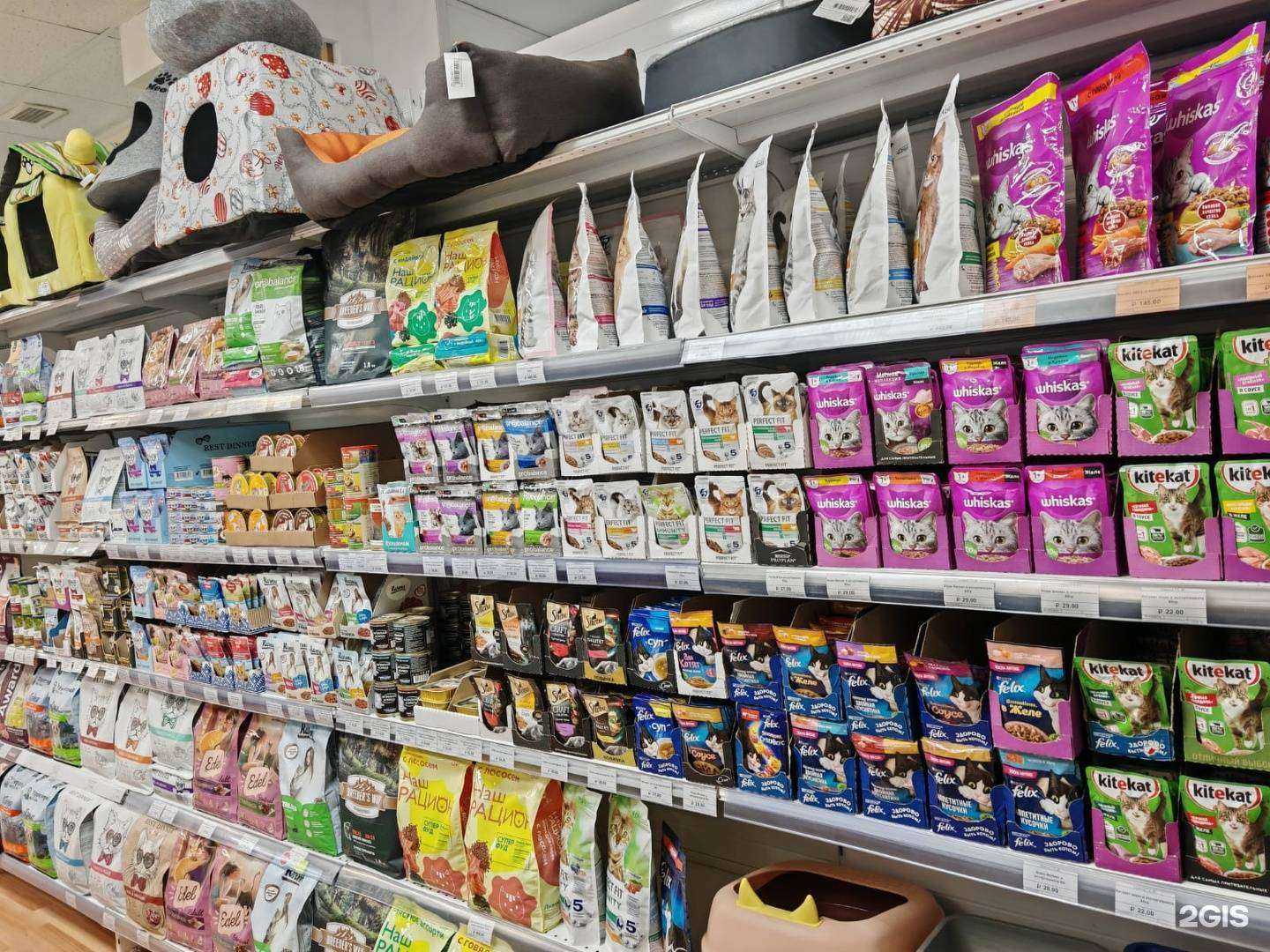 Отзывы на компанию Зоомагазин в г. Иркутск c фото