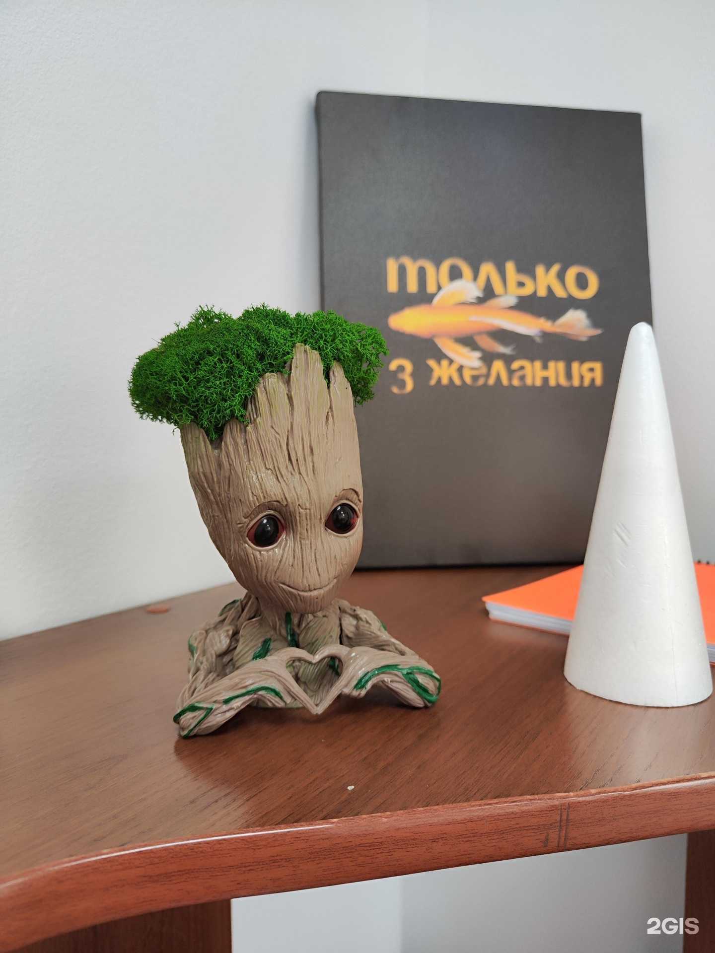 Отзывы на компанию Кабинет репетитора по математике в Красноярске c фото