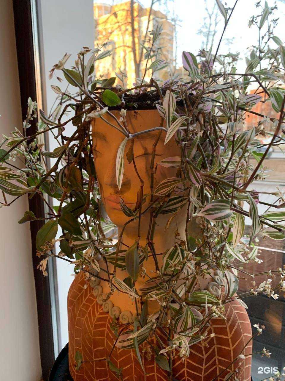 Отзывы на компанию Маркс в Перми c фото