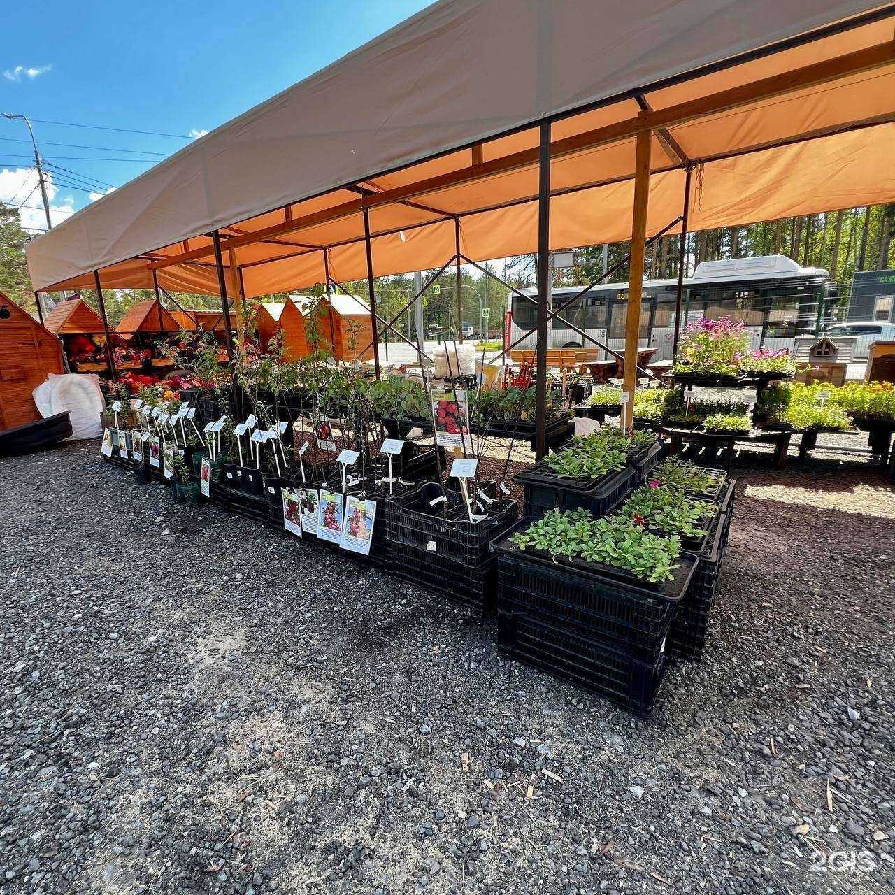 Отзывы на компанию Магазин цветов в Кургане c фото