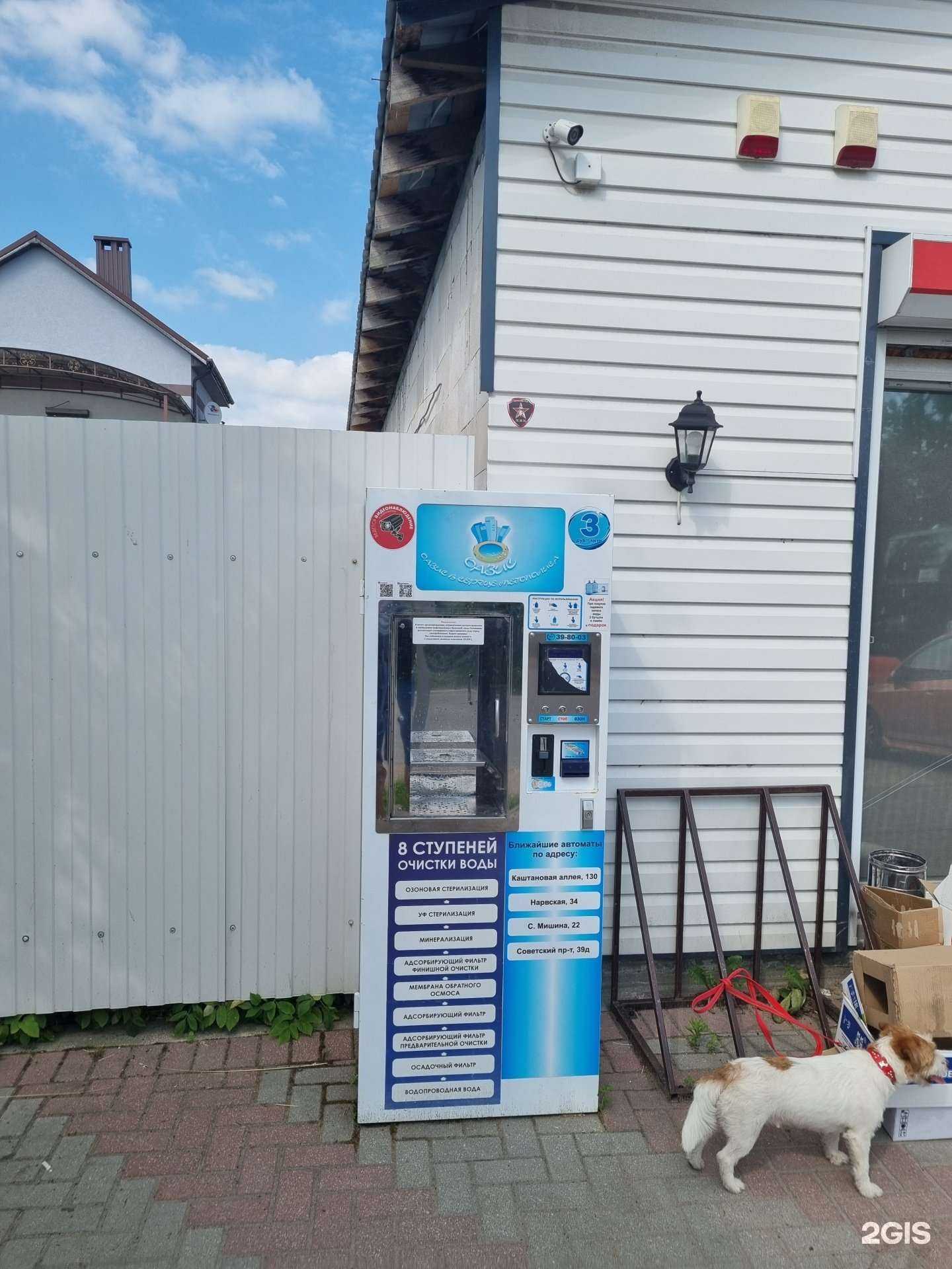 Отзывы на компанию Оазис в Калининграде c фото