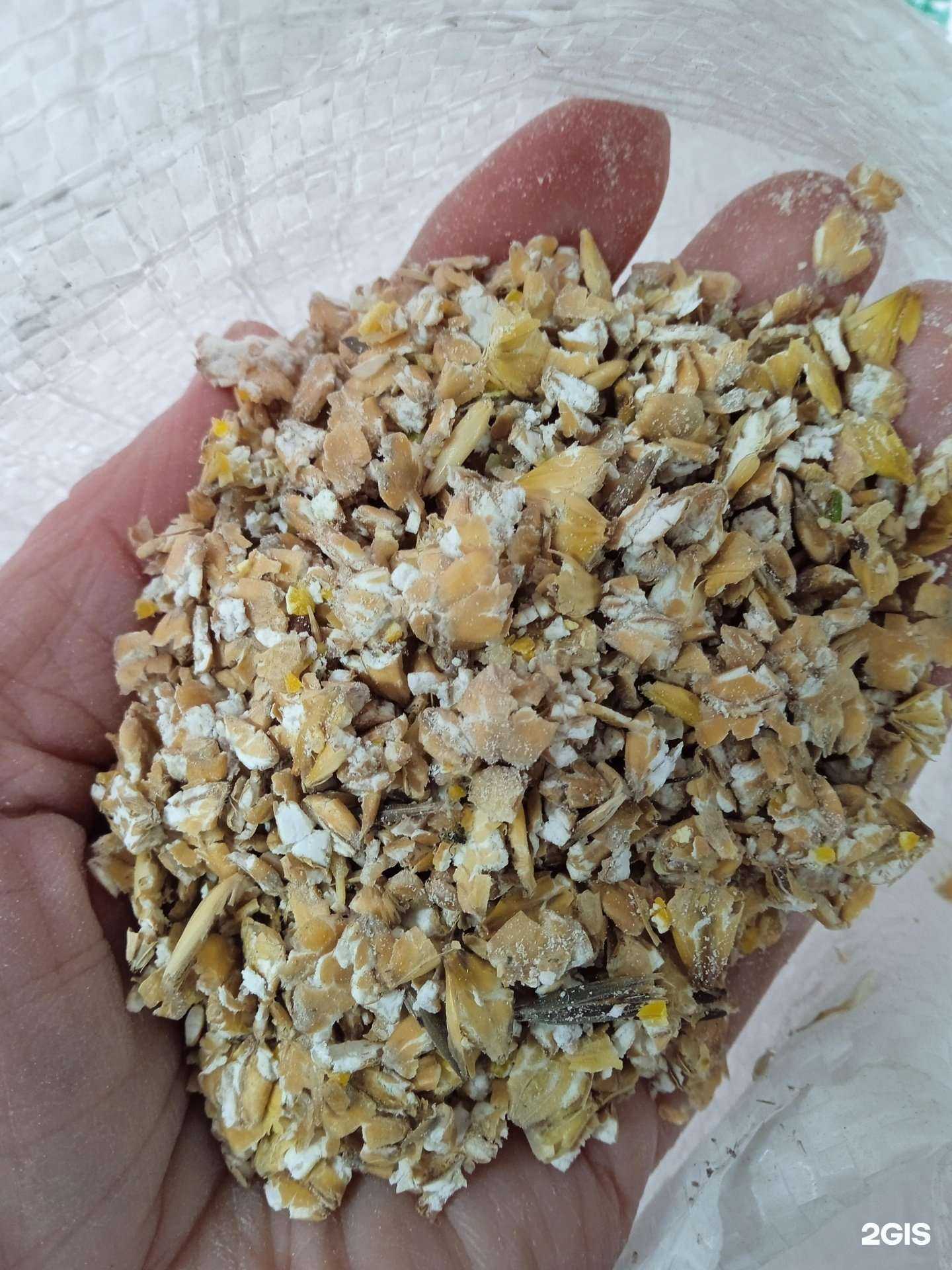 Отзывы на компанию СВОЁ в Улан-Удэ c фото