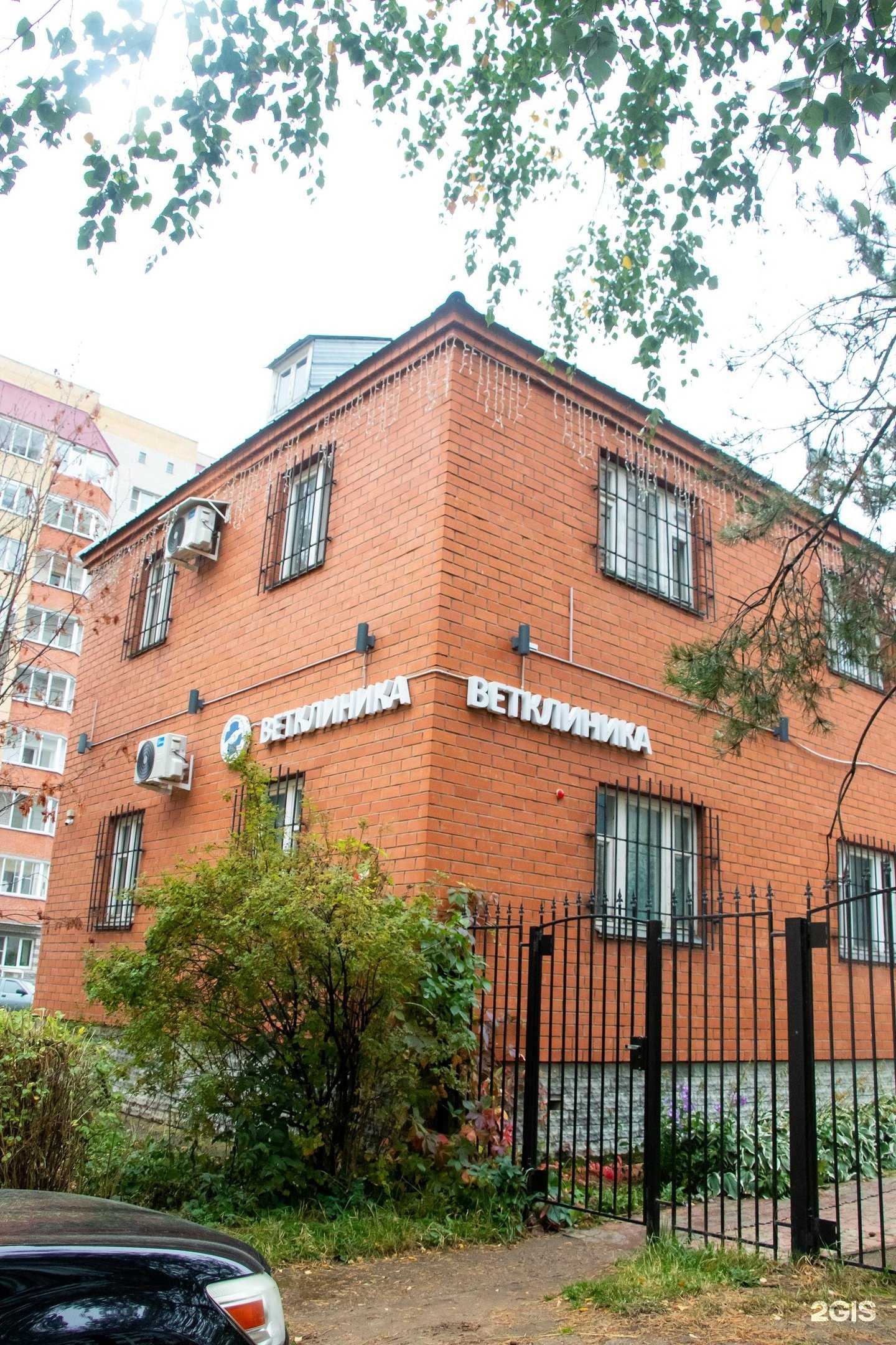 Отзывы на компанию Вместе с верным другом в Кирове c фото