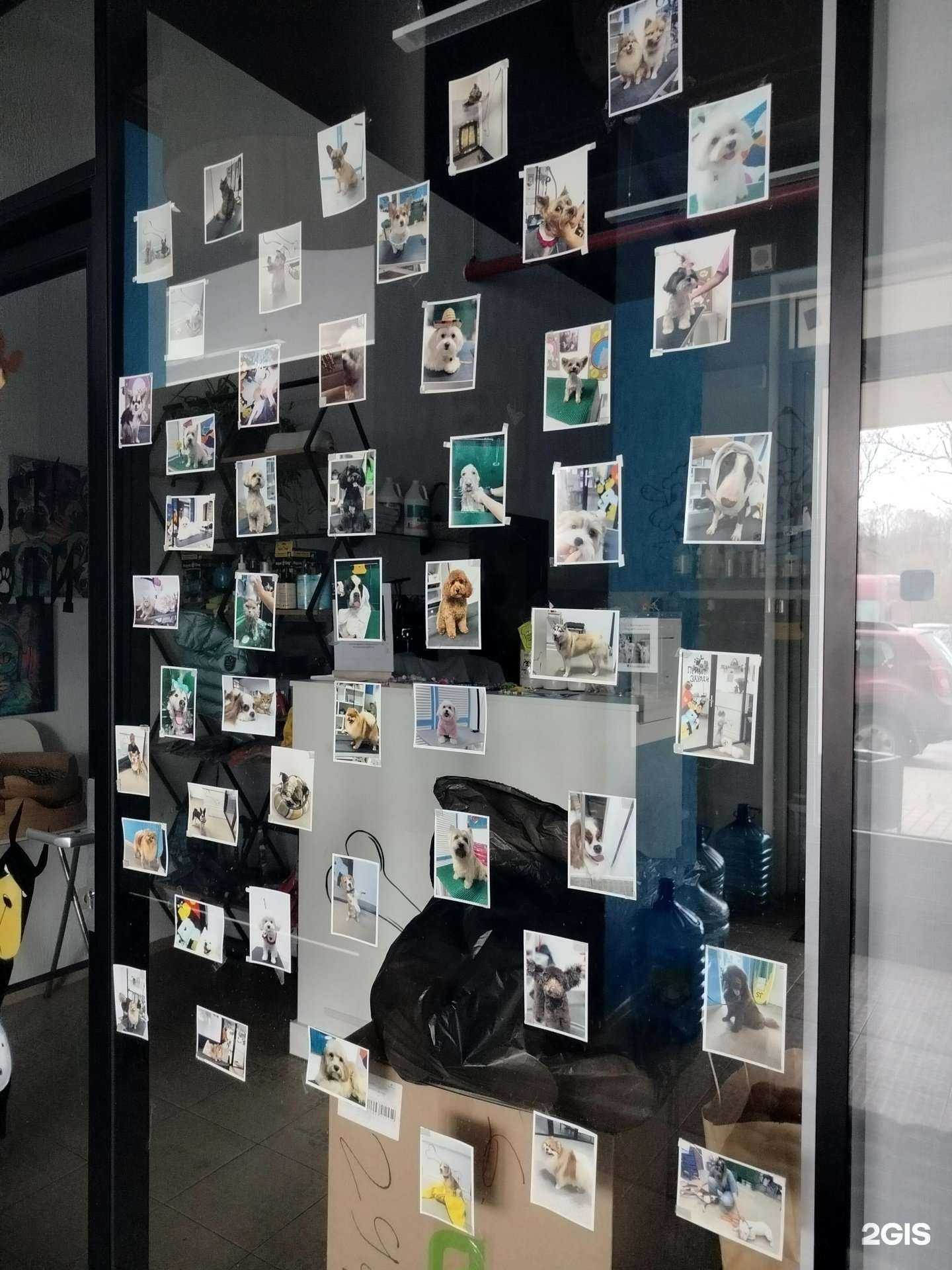 Отзывы на компанию BoomGroom в г. Химки c фото