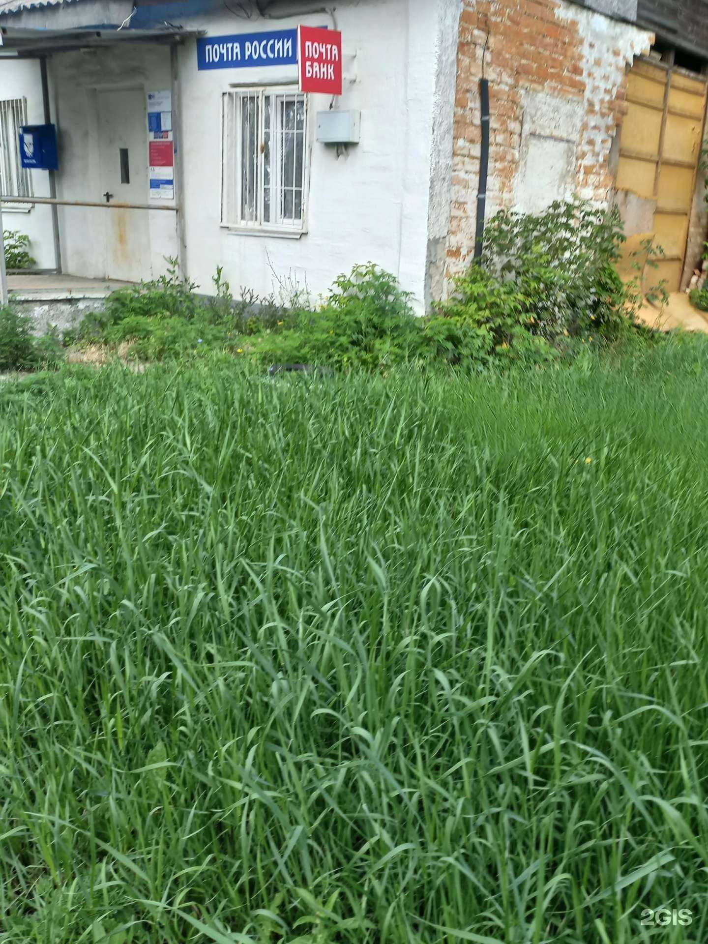 Отзывы на компанию Почта России в г. Новошахтинск c фото