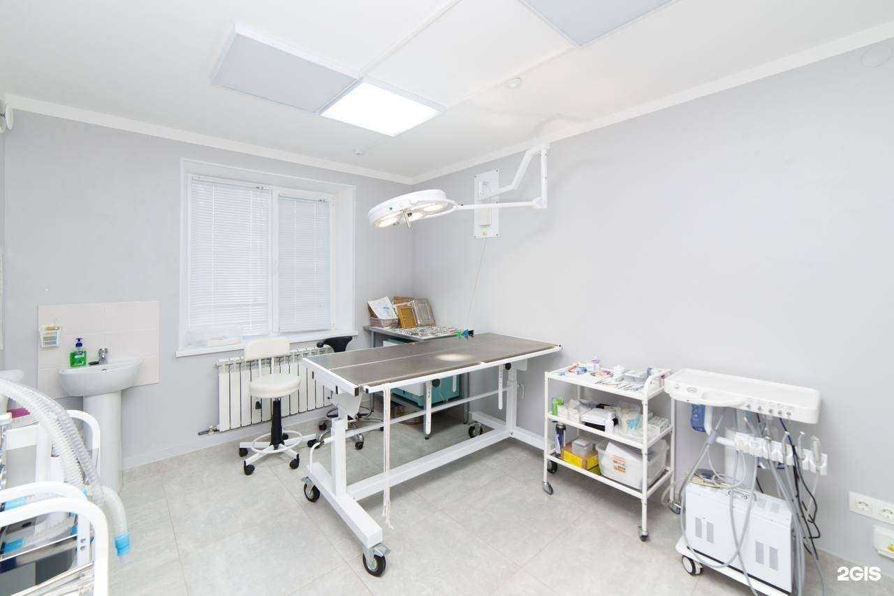 Отзывы на компанию Верный друг в г. Тюмень c фото