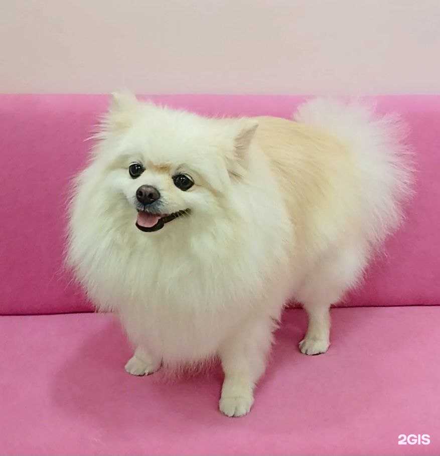 Отзывы на компанию Мими в Краснодаре c фото