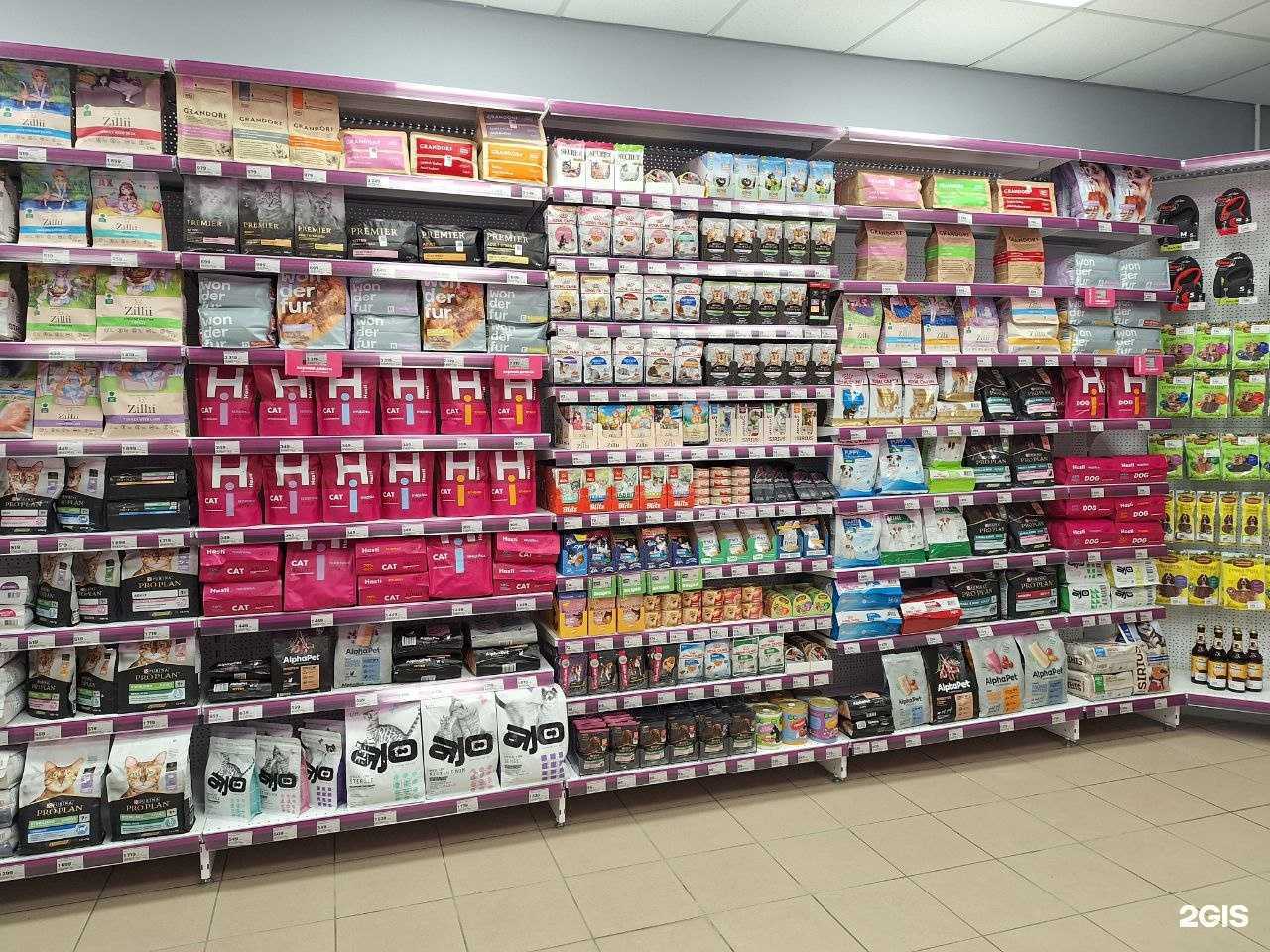 Отзывы на компанию Мокрый нос в Геленджике c фото