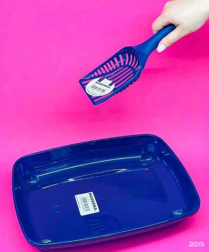 Отзывы на компанию Четыре лапы в Новокузнецке c фото