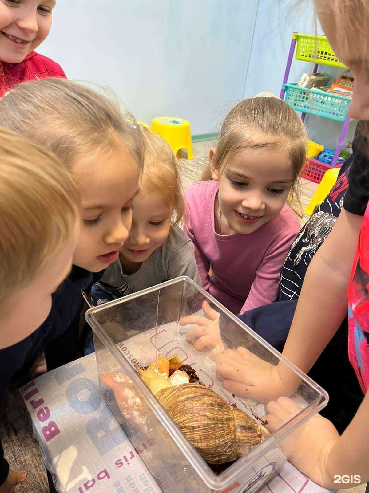 Отзывы на компанию Triumph в Норильске c фото