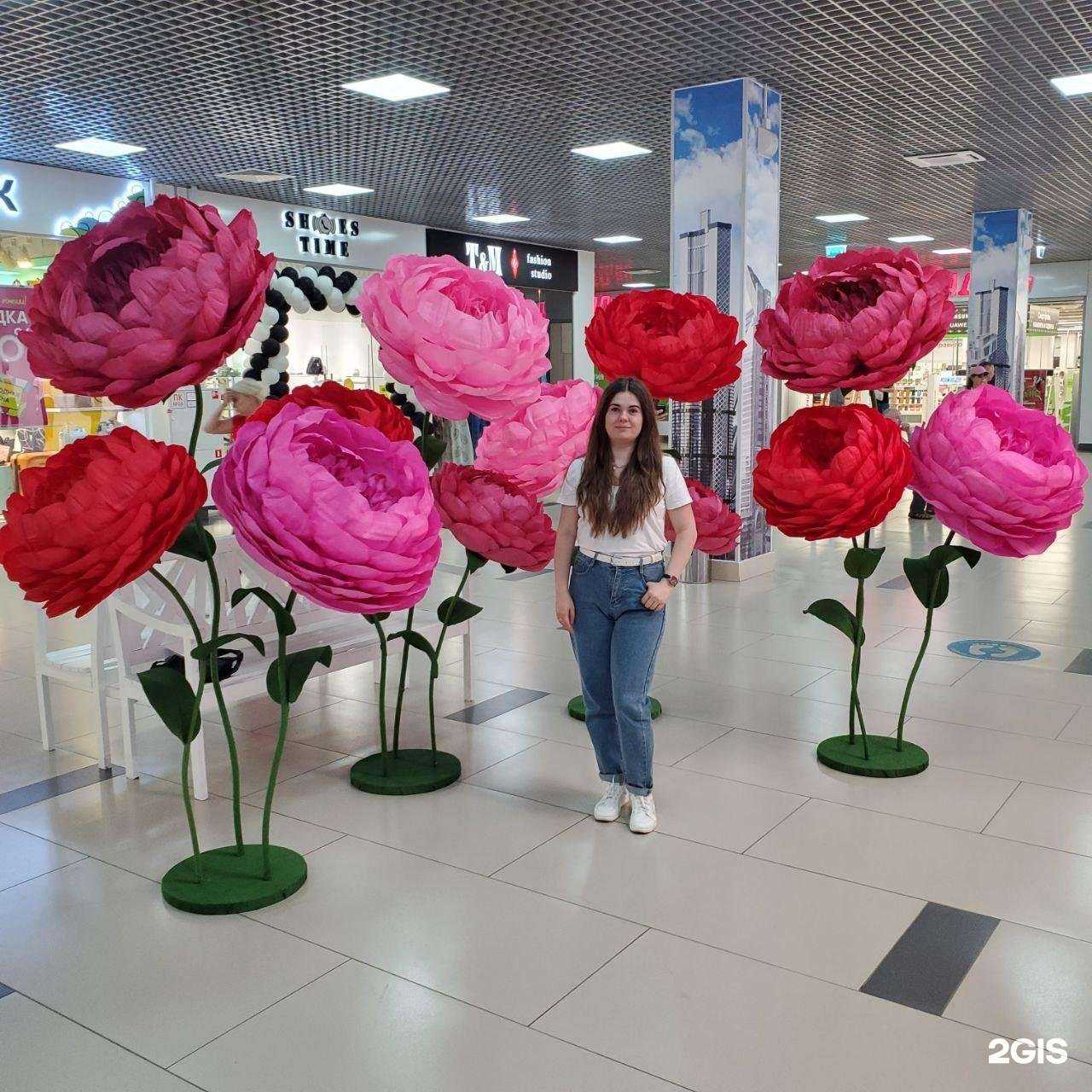 Отзывы на компанию Wellmarry в Красногорске c фото