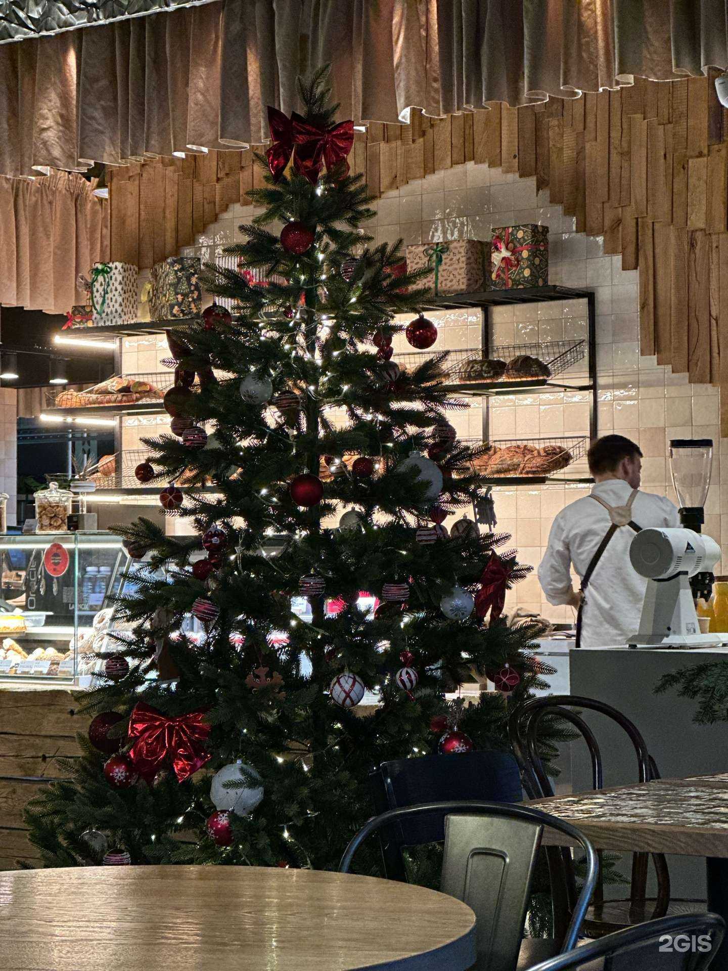 Отзывы на компанию Лев Бородинский в Калининграде c фото