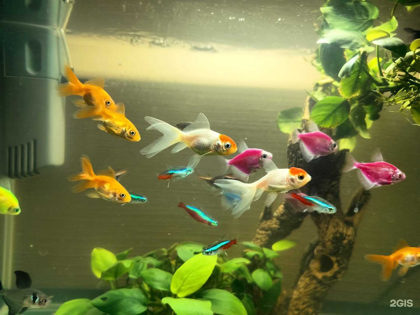 Отзывы на компанию Массажев в Красноярске c фото