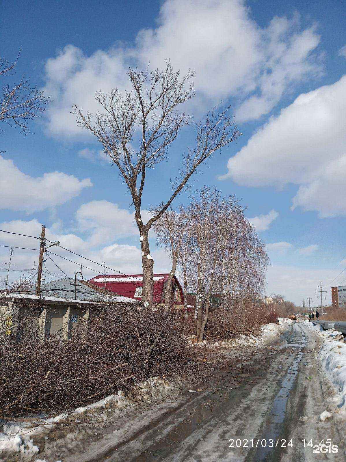 Отзывы на компанию Компания по демонтажу зданий и спилу деревьев в Челябинске c фото