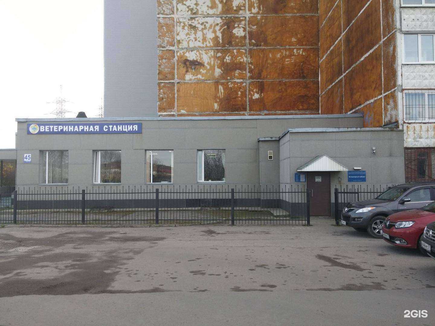 Отзывы на компанию Мурманская областная станция по борьбе с болезнями животных в Мурманске c фото