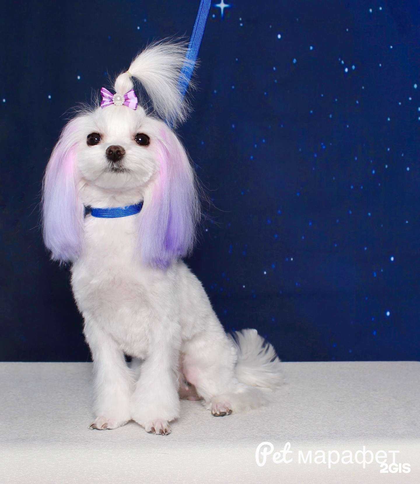 Отзывы на компанию Марафет в Тюмени c фото