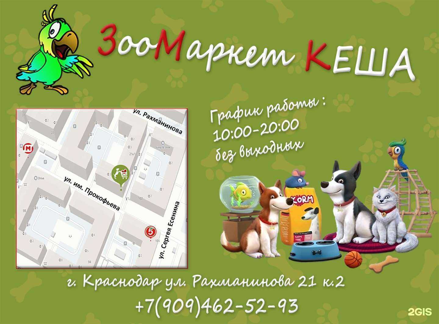 Отзывы на компанию Кеша в г. Краснодар c фото