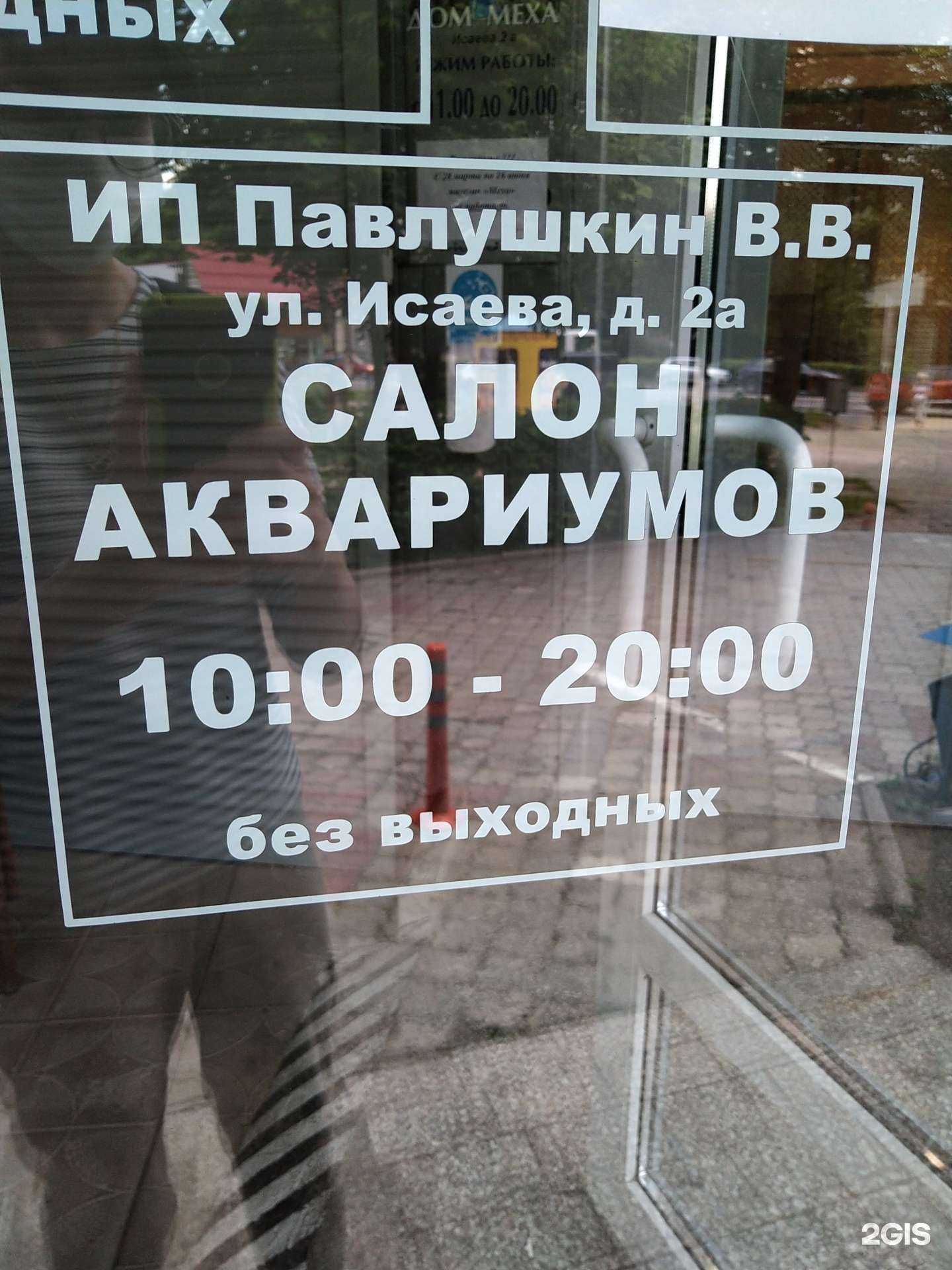 Отзывы на компанию Пиранья в Королёве c фото