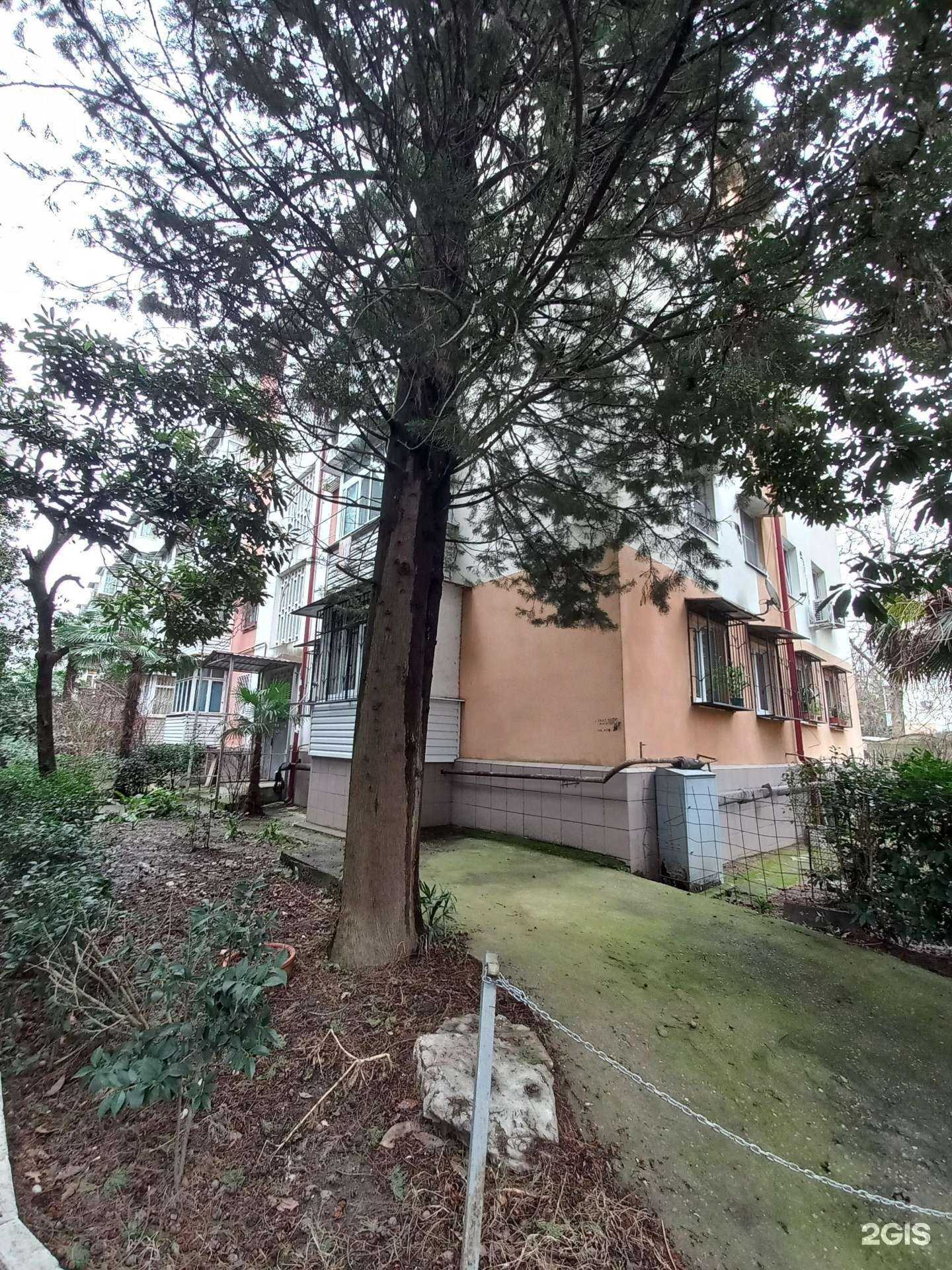 Отзывы на компанию Розовый единорог в Сочи c фото - фотография 2 из 2