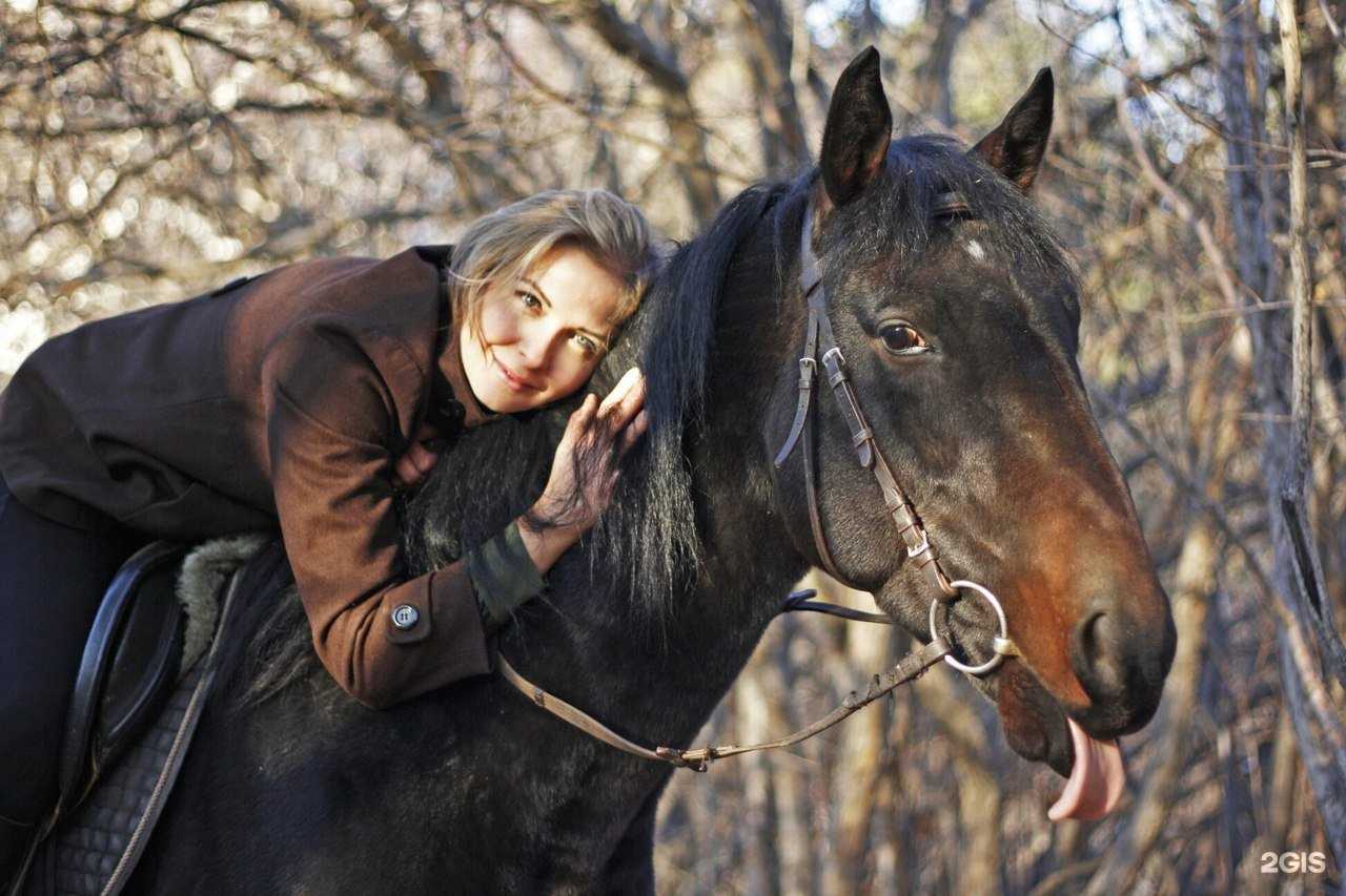 Отзывы на компанию Русские кони в г. Красноярск c фото