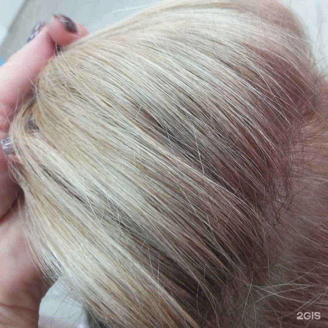 Отзывы на компанию Kolorist в г. Белгород c фото