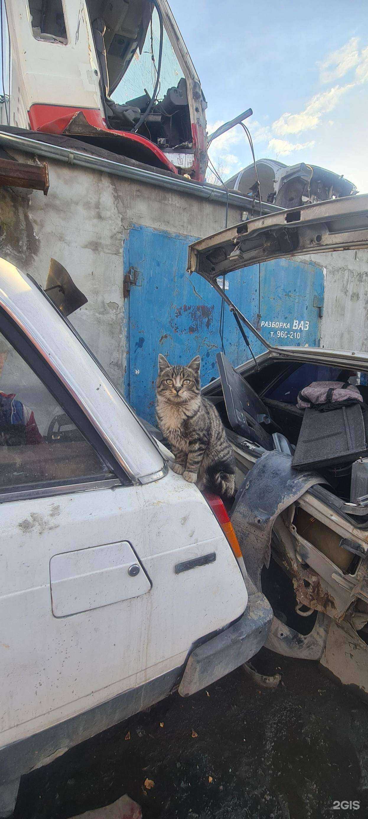 Отзывы на компанию Кредосервис в г. Красноярск c фото