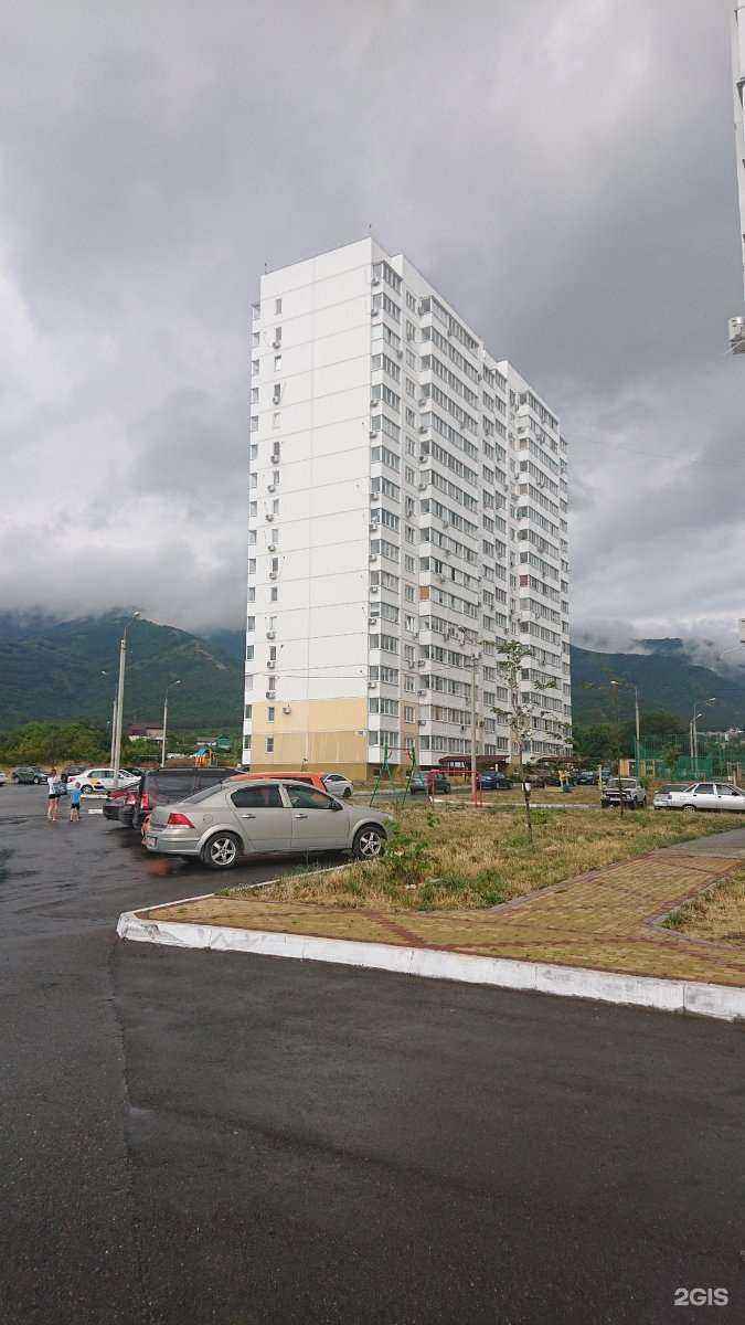 Отзывы на компанию Дерево жизни в Геленджике c фото - фотография 2 из 2