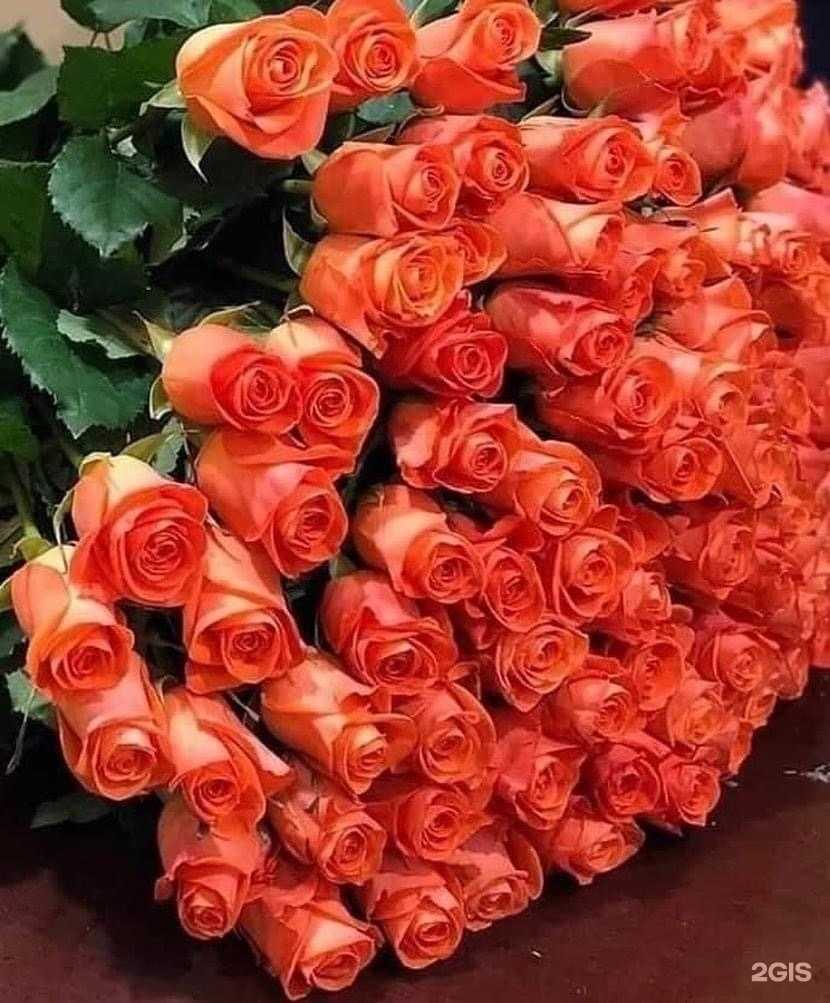 Отзывы на компанию Nira в Самаре c фото