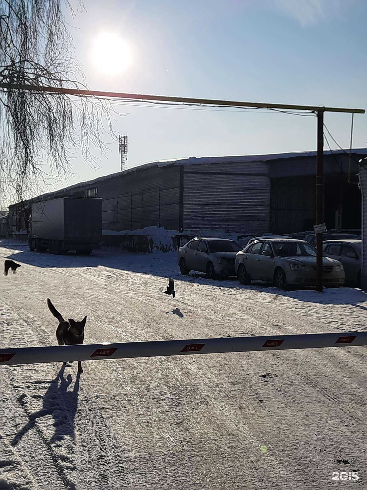 Отзывы на компанию Барбекю-Центр в Новосибирске c фото - фотография 2 из 2