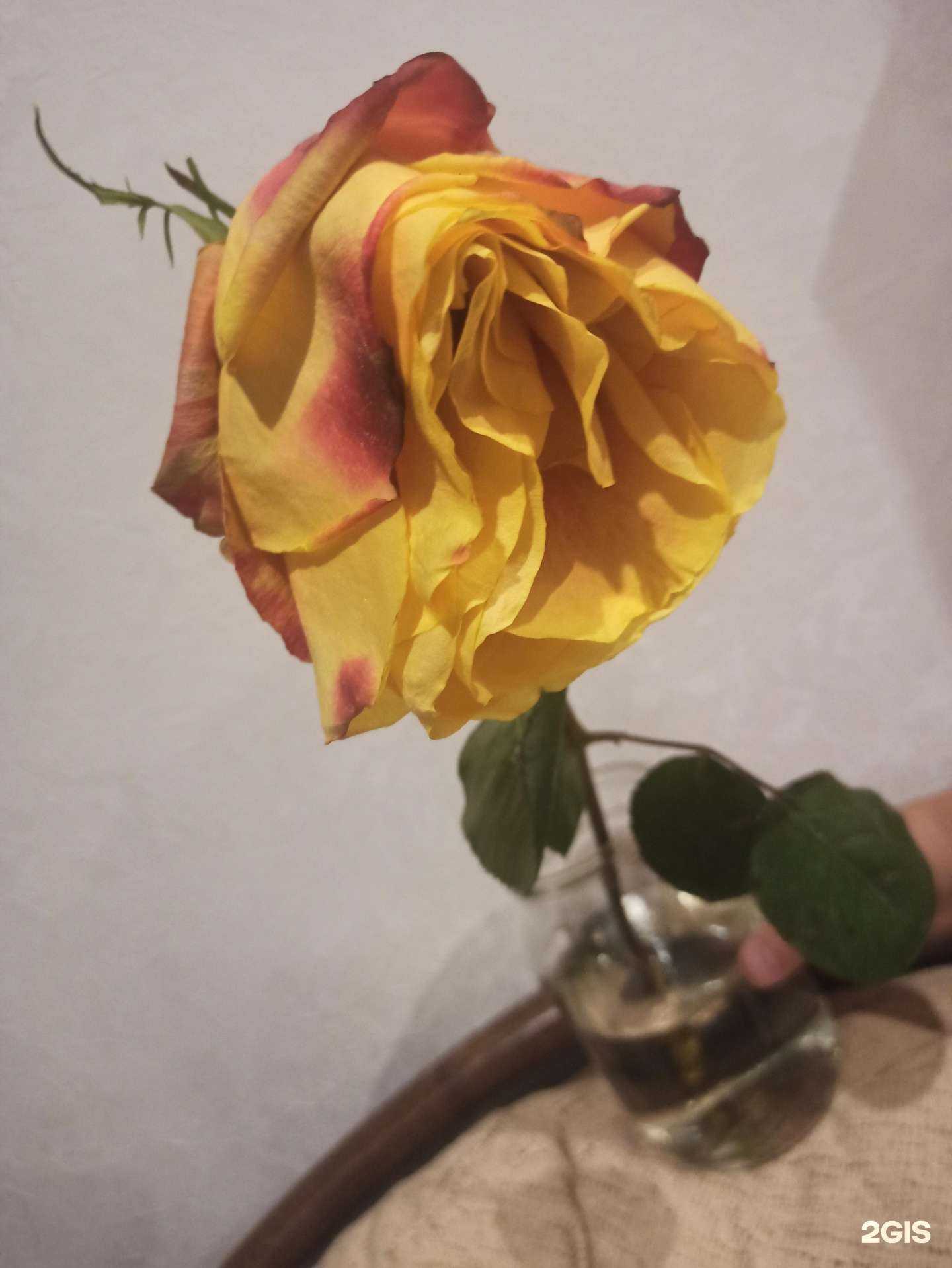 Отзывы на компанию Салон цветов в г. Волгоград c фото