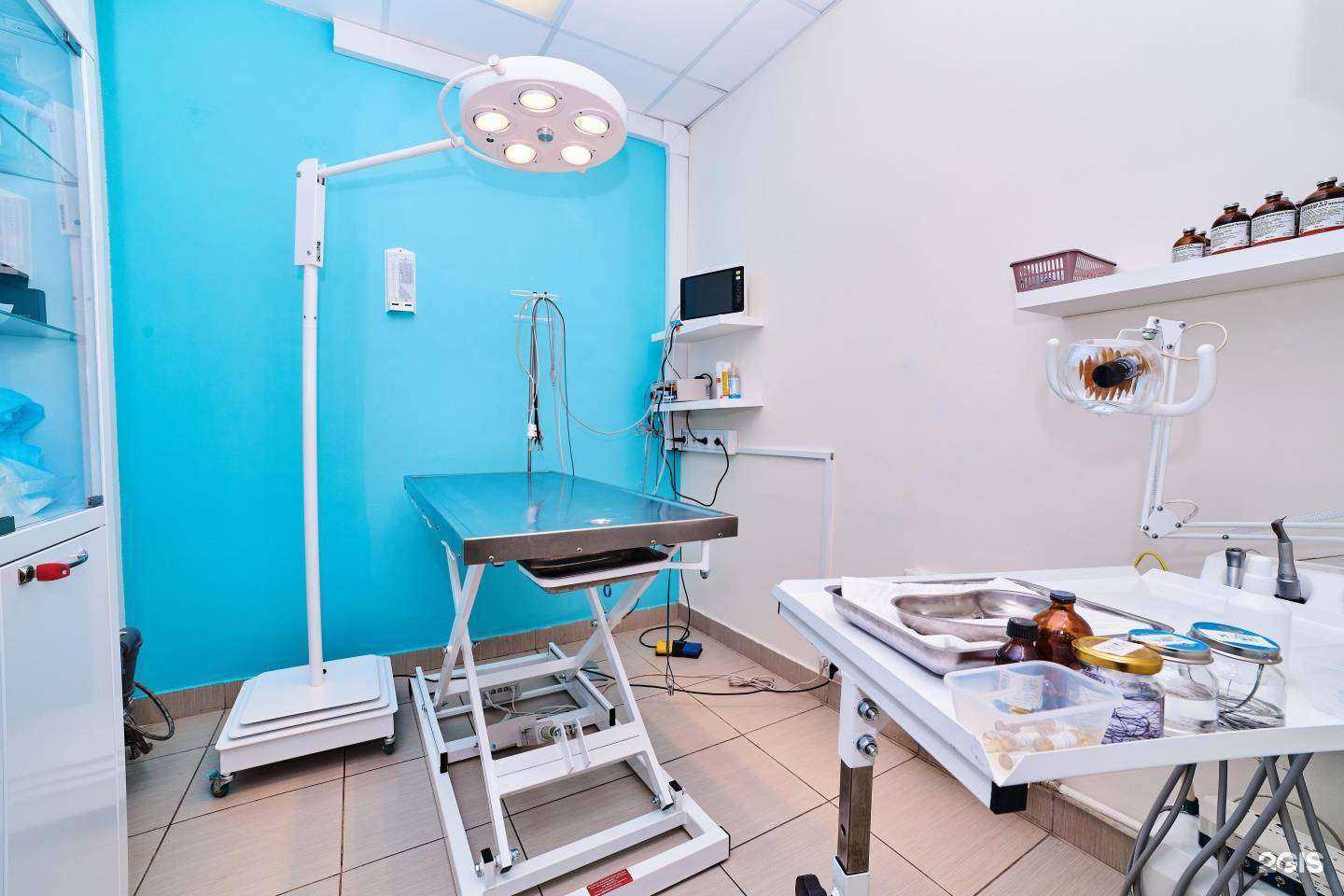 Отзывы на компанию VolyaVet в Химках c фото