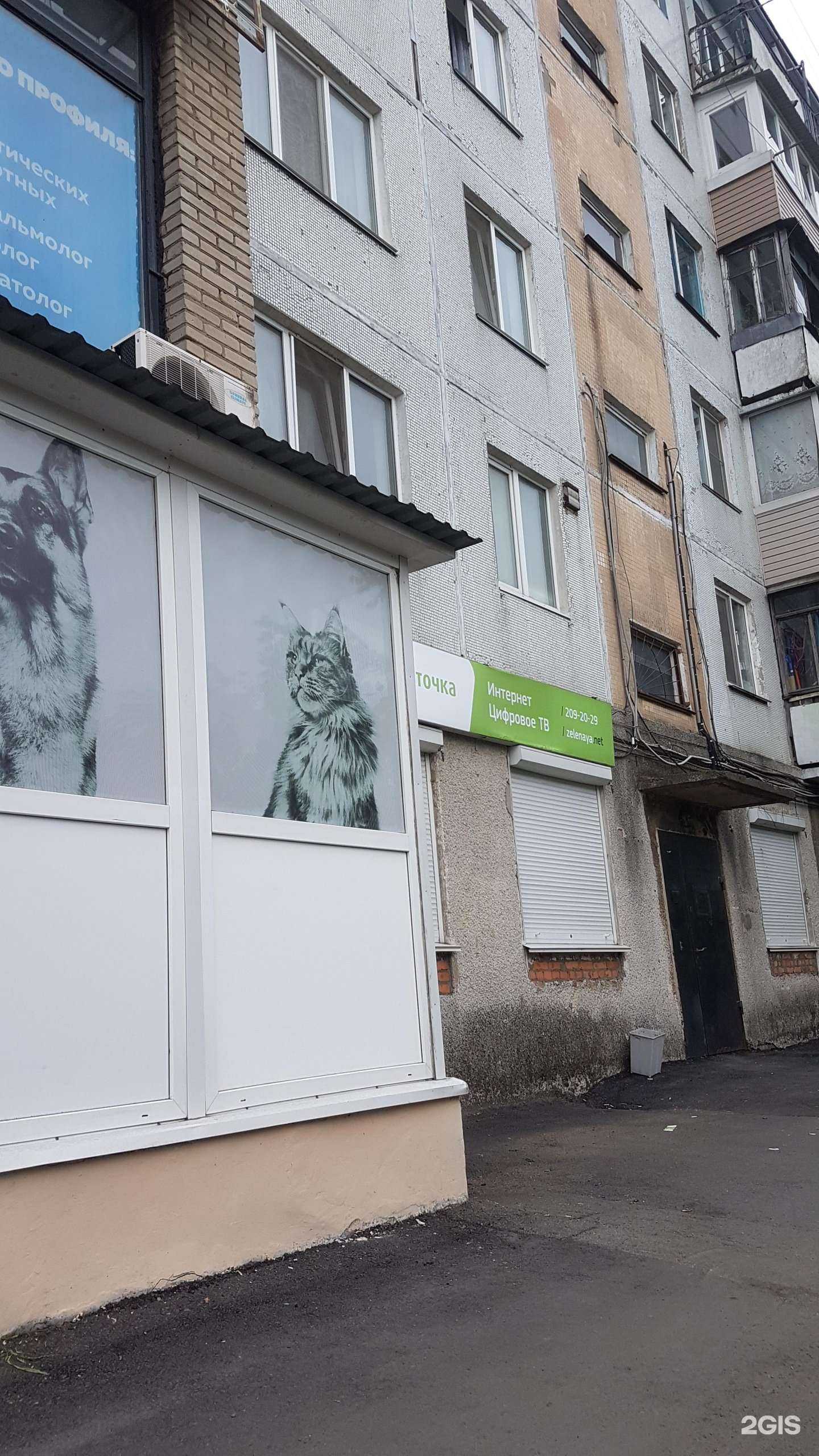 Отзывы на компанию Ветеринария в Владивостоке c фото