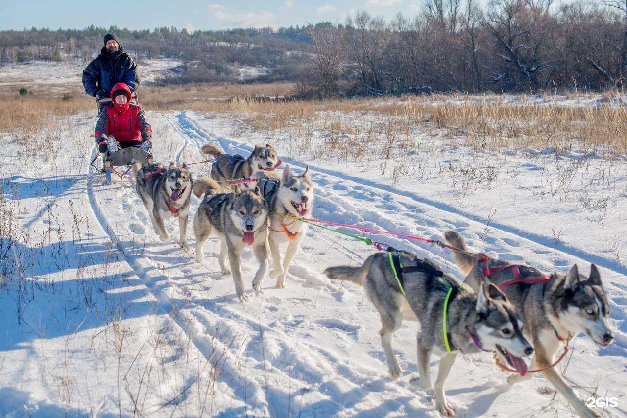 Отзывы на компанию Саратовская фототропа в г. Саратов c фото
