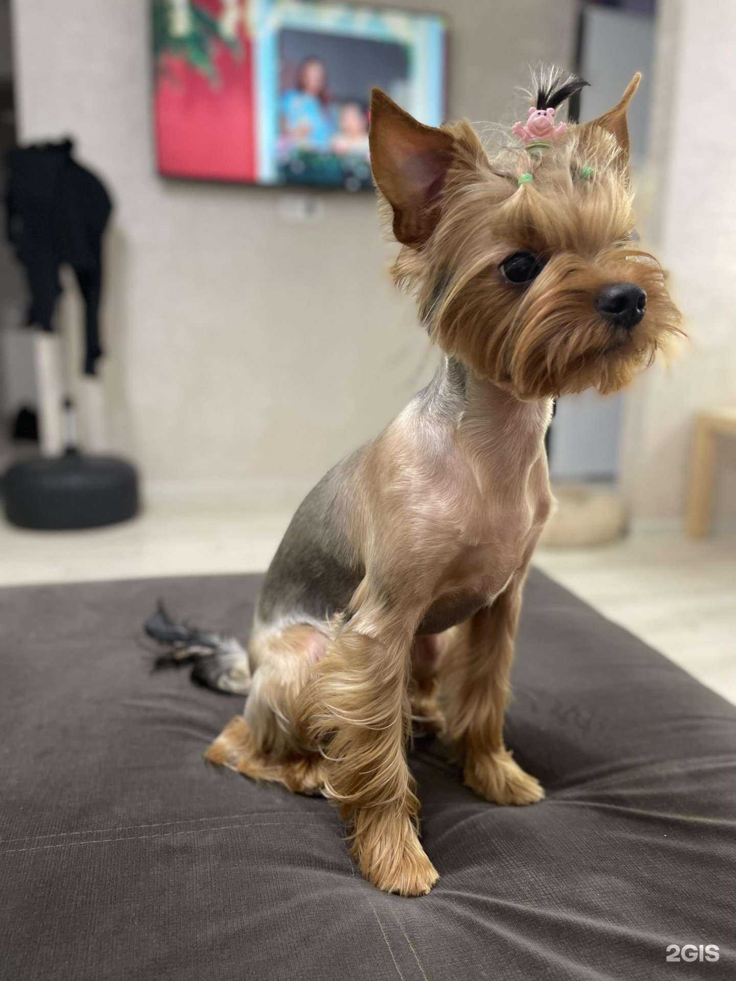 Отзывы на компанию Лайм Groom в г. Магнитогорск c фото