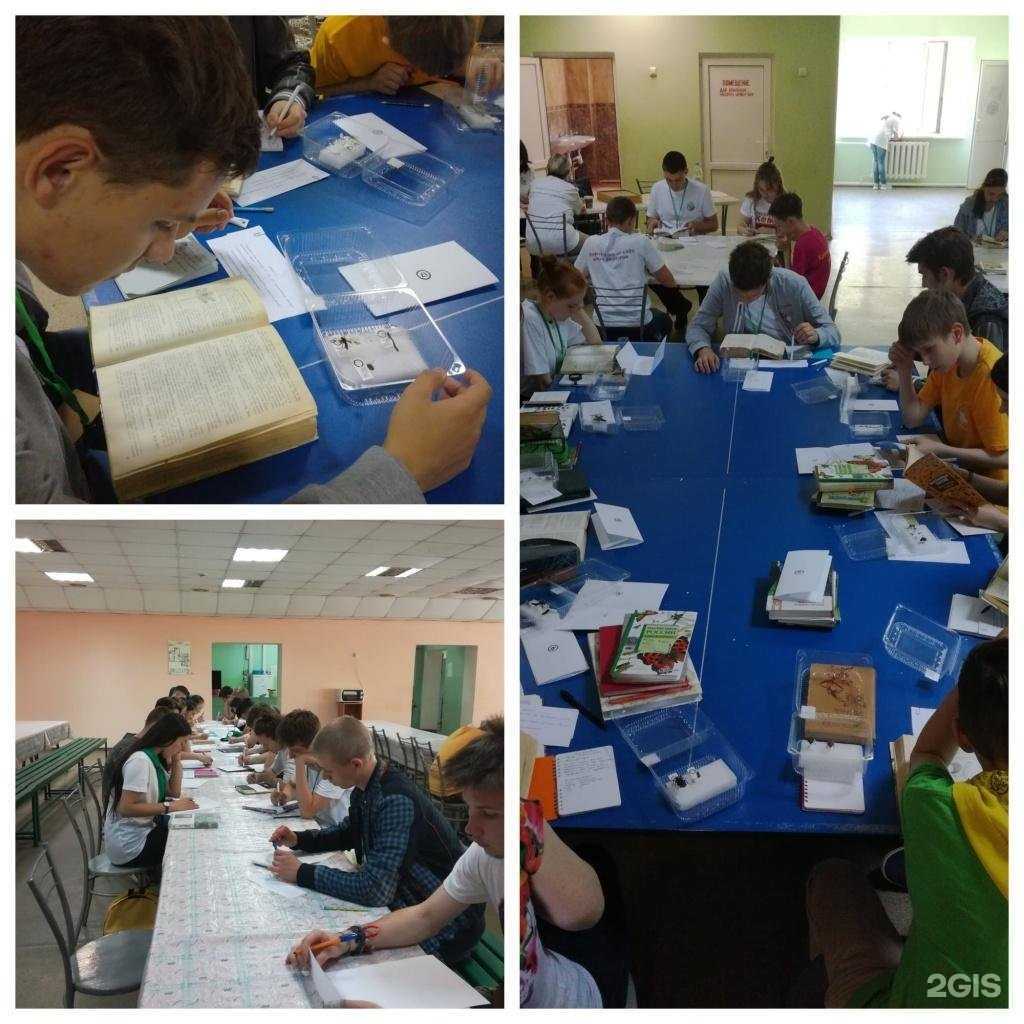 Отзывы на компанию Республиканский детский эколого-биологический центр в Уфе c фото